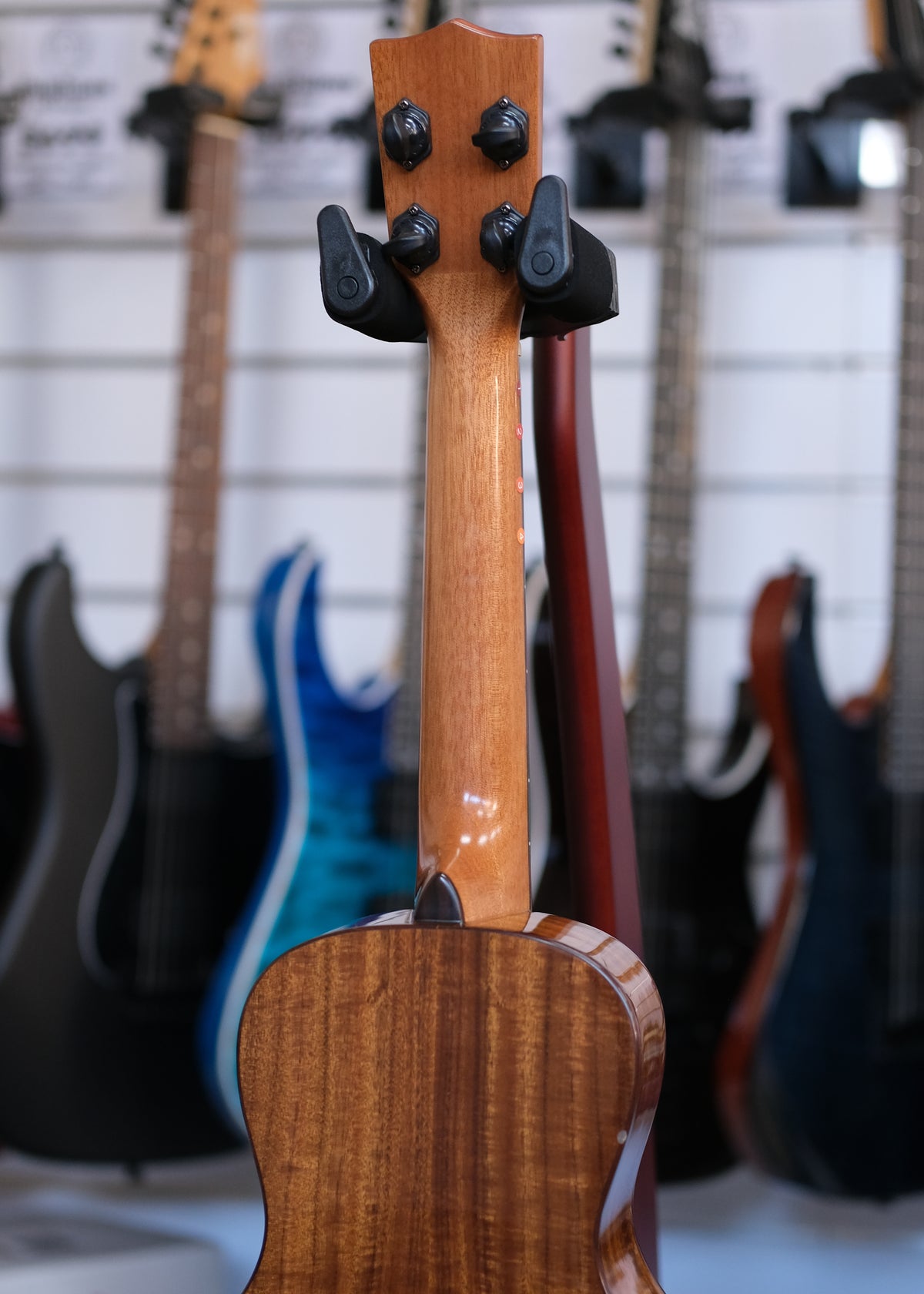 Kala Gloss Solid Cedar Top Acacia Concert Ukulele (Pre-Owned)
