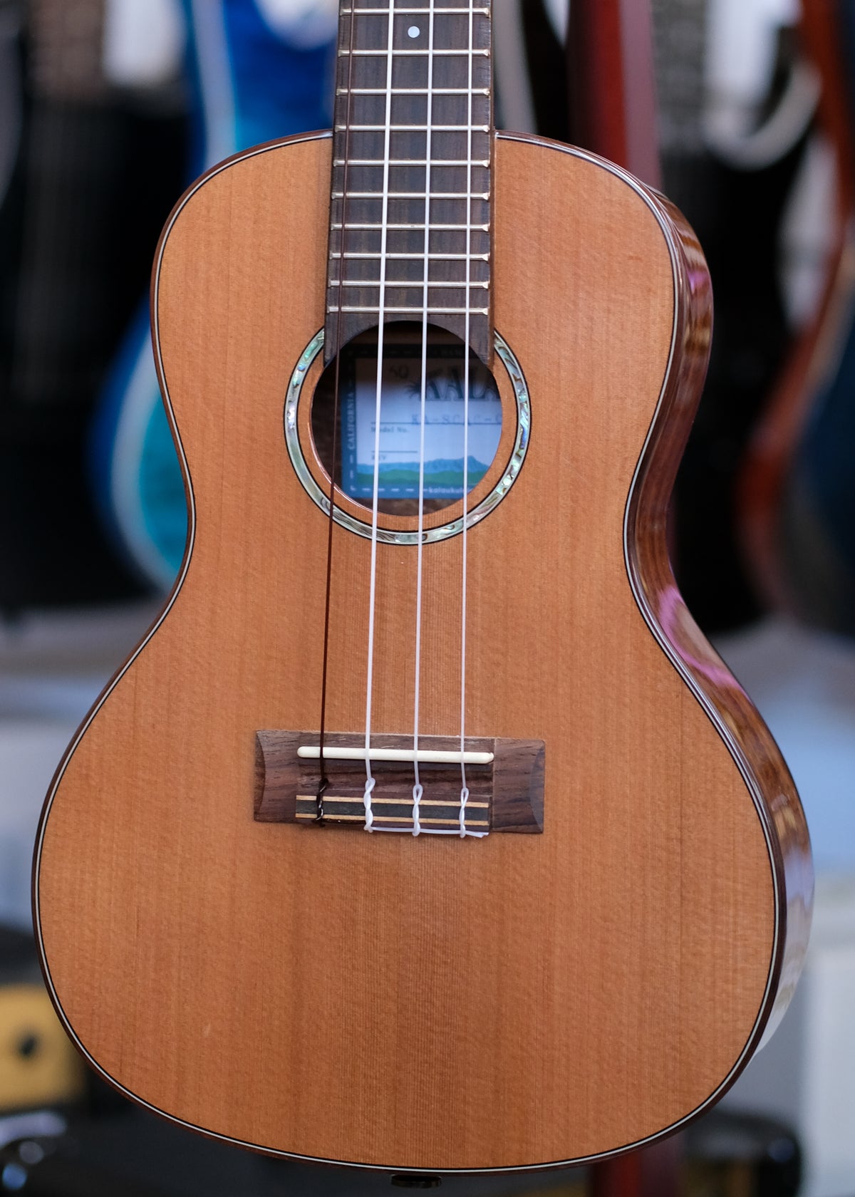 Kala Gloss Solid Cedar Top Acacia Concert Ukulele (Pre-Owned)