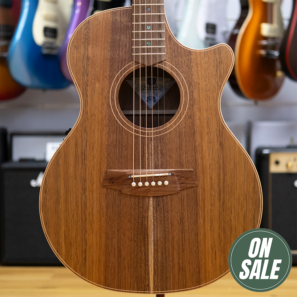 Cole Clark AN2 Angel Acoustic Electric Guitar with Hardcase (All Blackwood)
