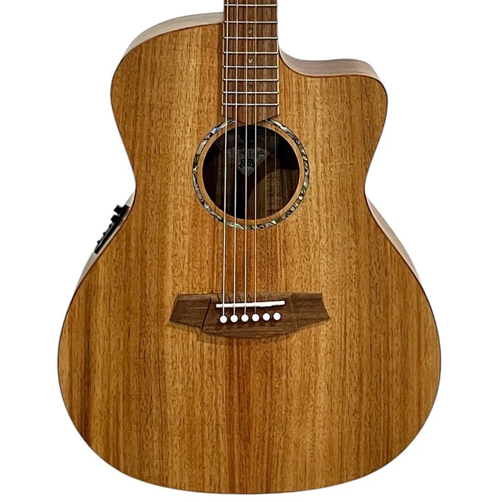 Cole Clark Studio Grand Auditorium Acoustic Electric Guitar with Deluxe Gig Bag (All Solid Blackwood) *B-Stock*