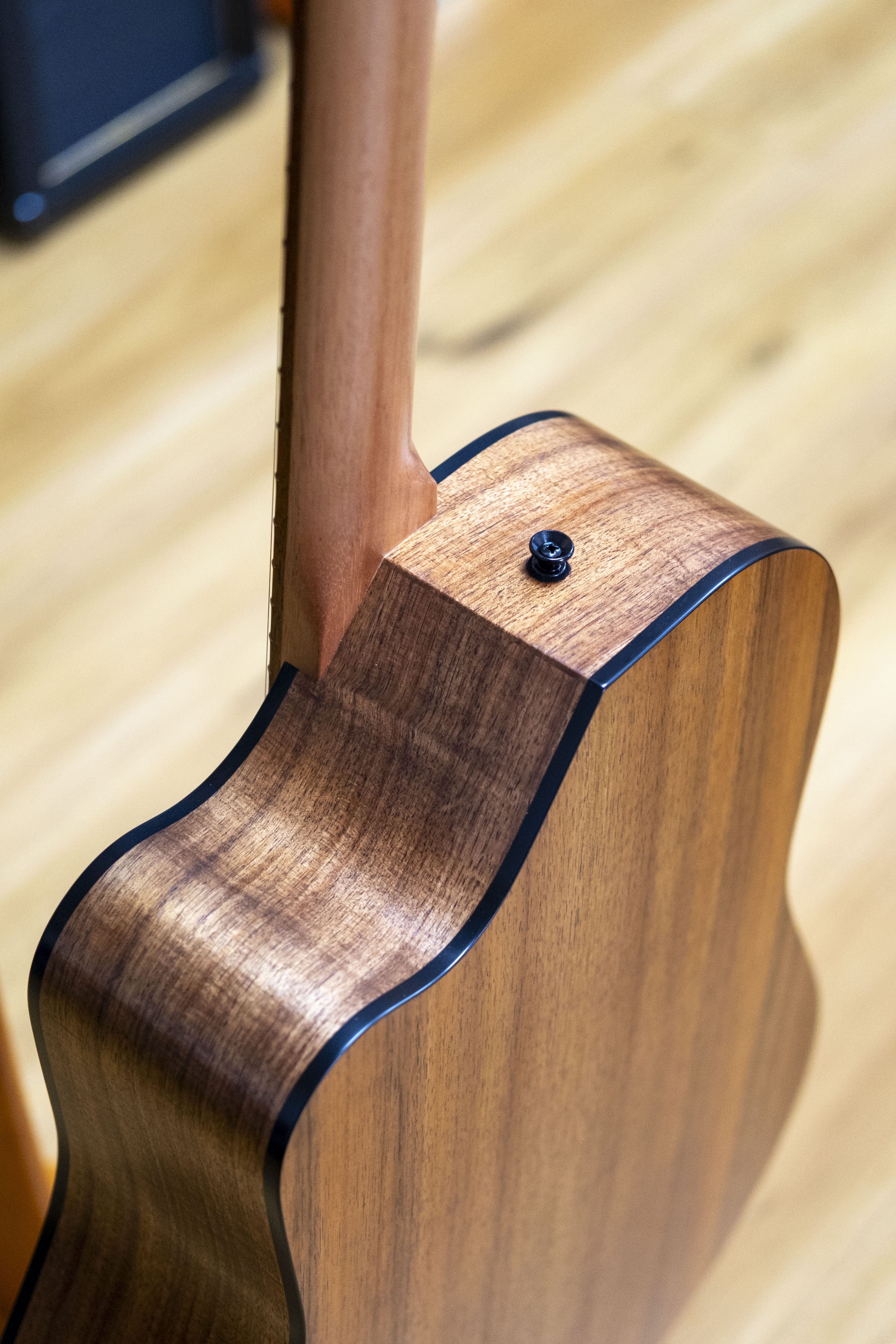 Pratley Classic Series Dreadnought Acoustic Electric Guitar (All Solid Blackwood)