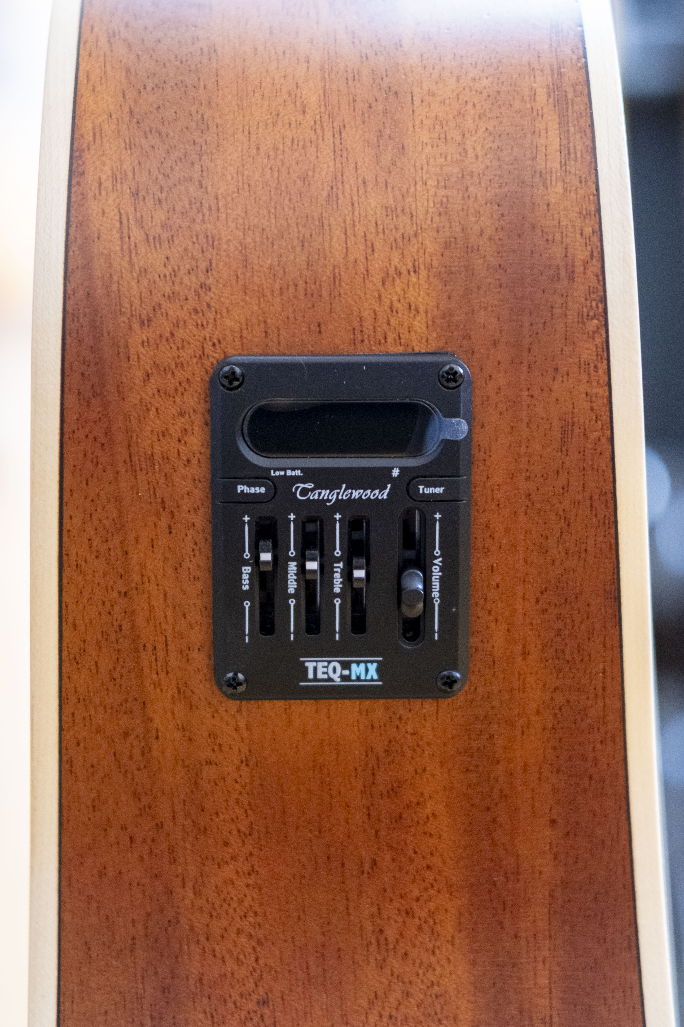 Tanglewood Union Series Dreadnought Acoustic Electric Guitar (Mahogany)