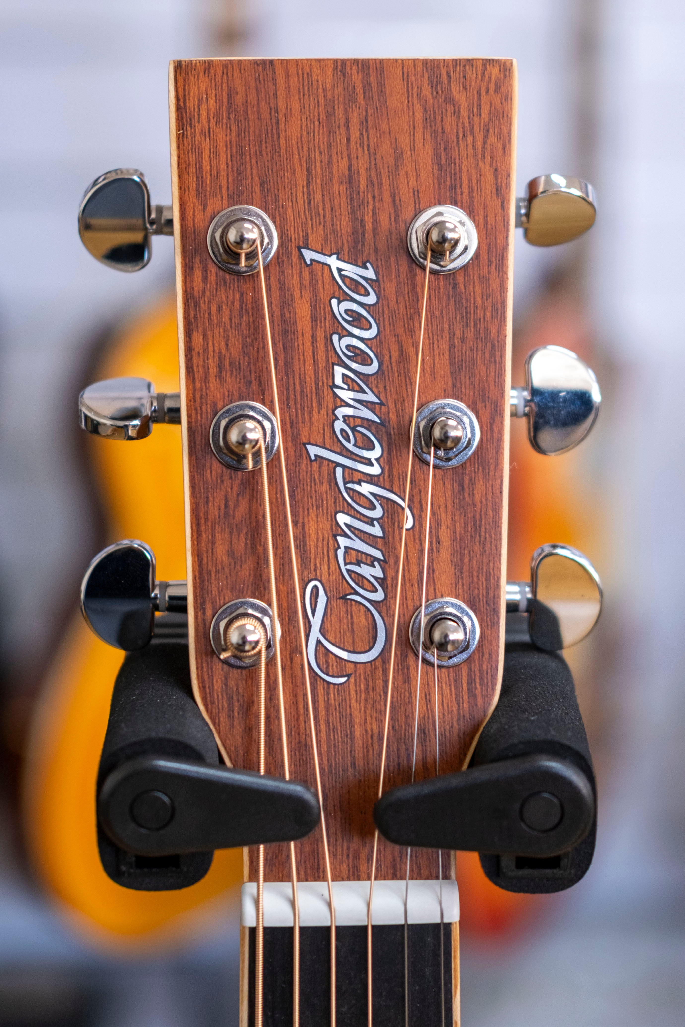 Tanglewood Union Series Dreadnought Acoustic Electric Guitar (Mahogany)