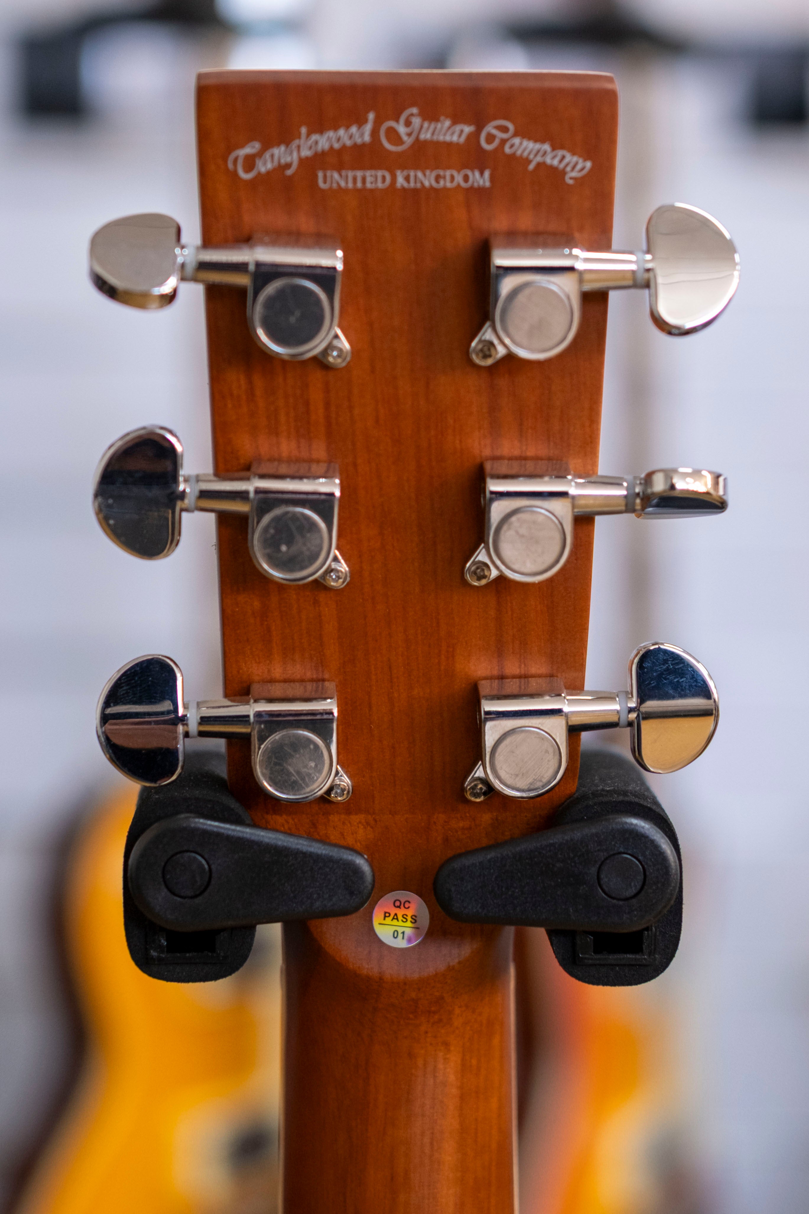 Tanglewood Union Series Dreadnought Acoustic Electric Guitar (Mahogany)