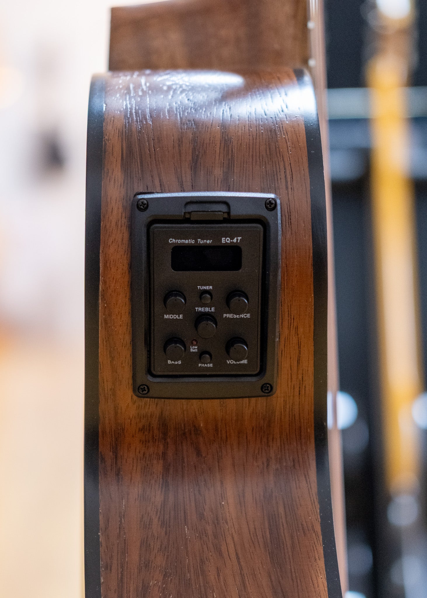 Martinez Mini Short Scale Acoustic Electric Guitar (Rosewood)