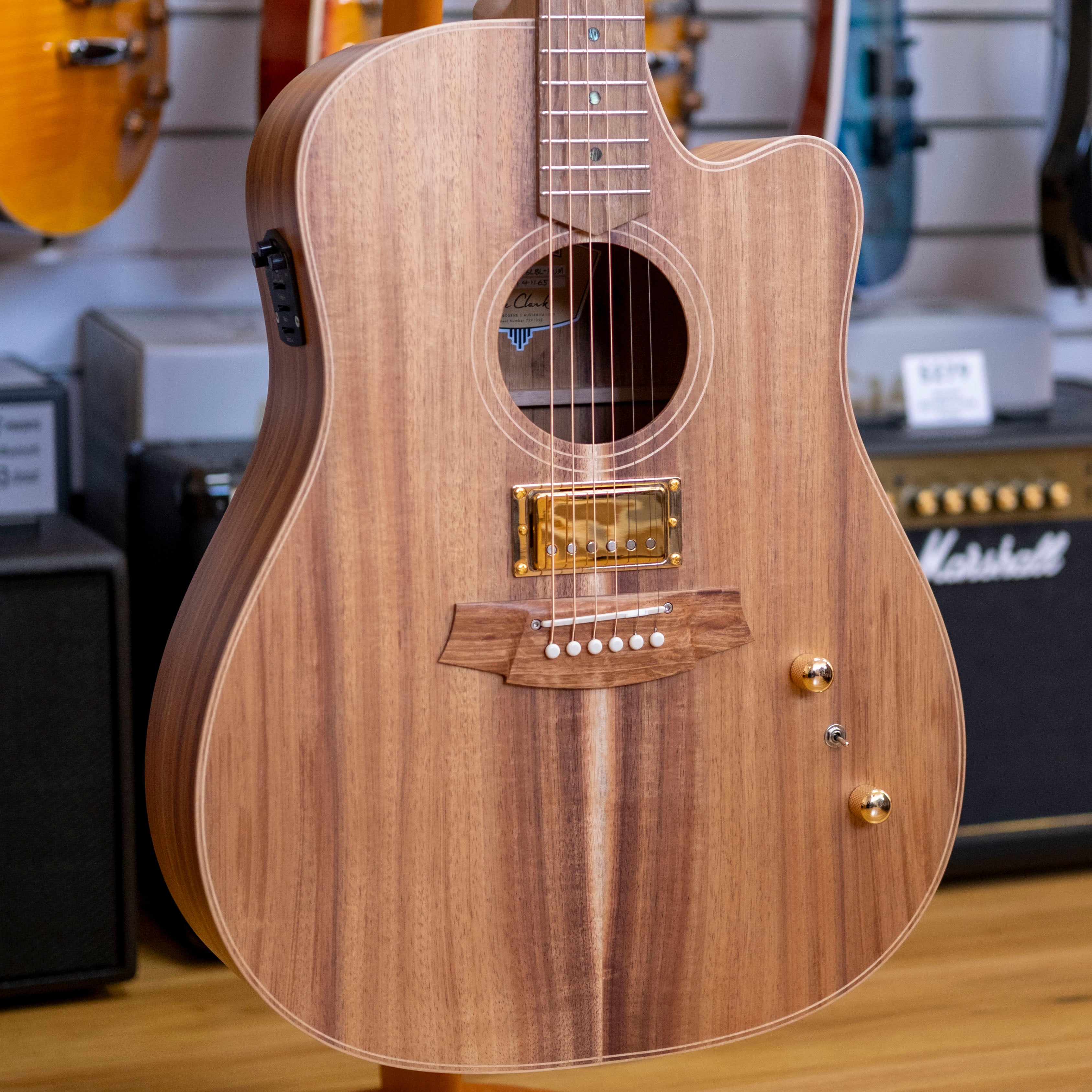 Cole Clark FL2EC Humbucker Dreadnought Acoustic Electric Guitar (Blackwood)