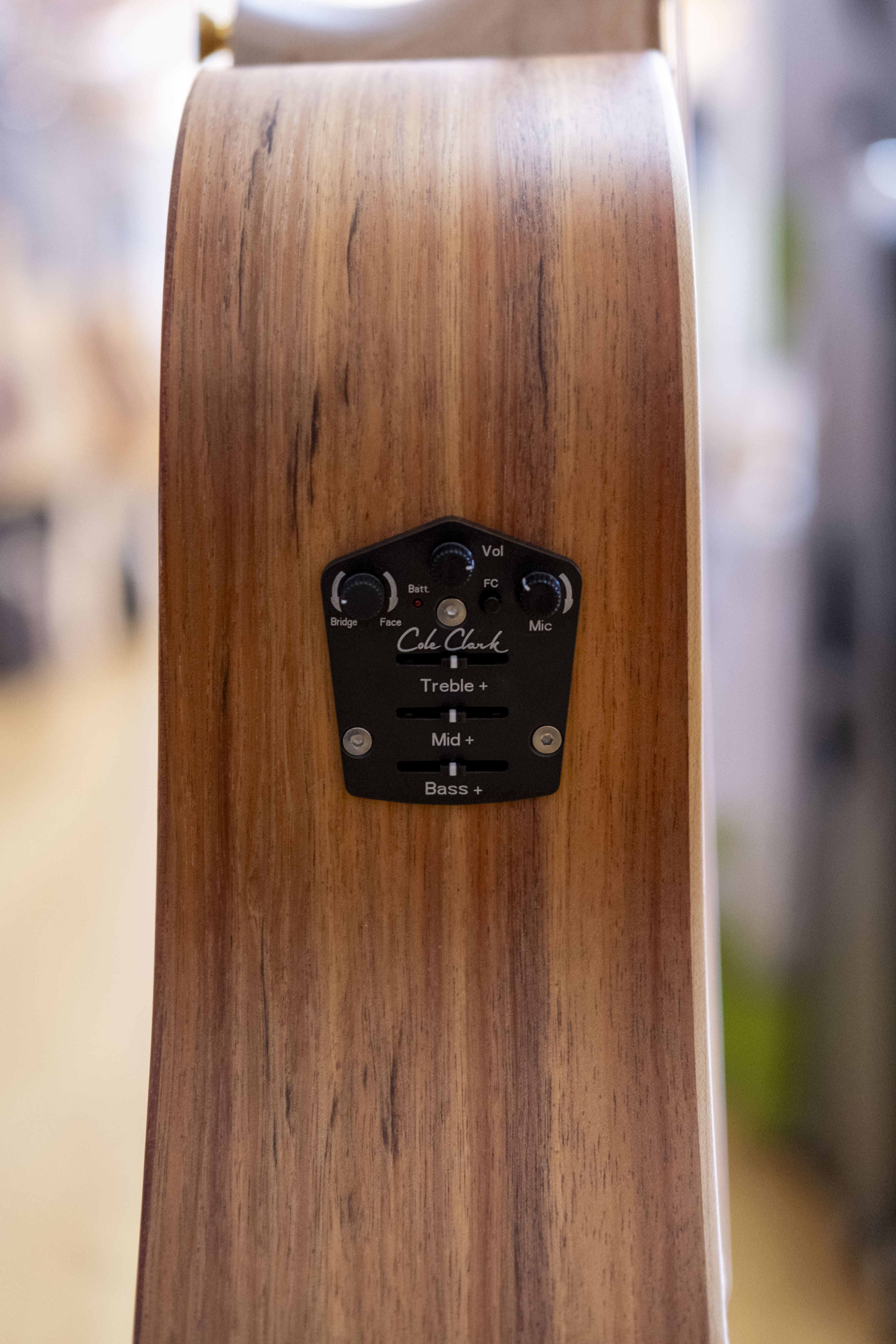 Cole Clark FL2EC Humbucker Dreadnought Acoustic Electric Guitar (Blackwood)