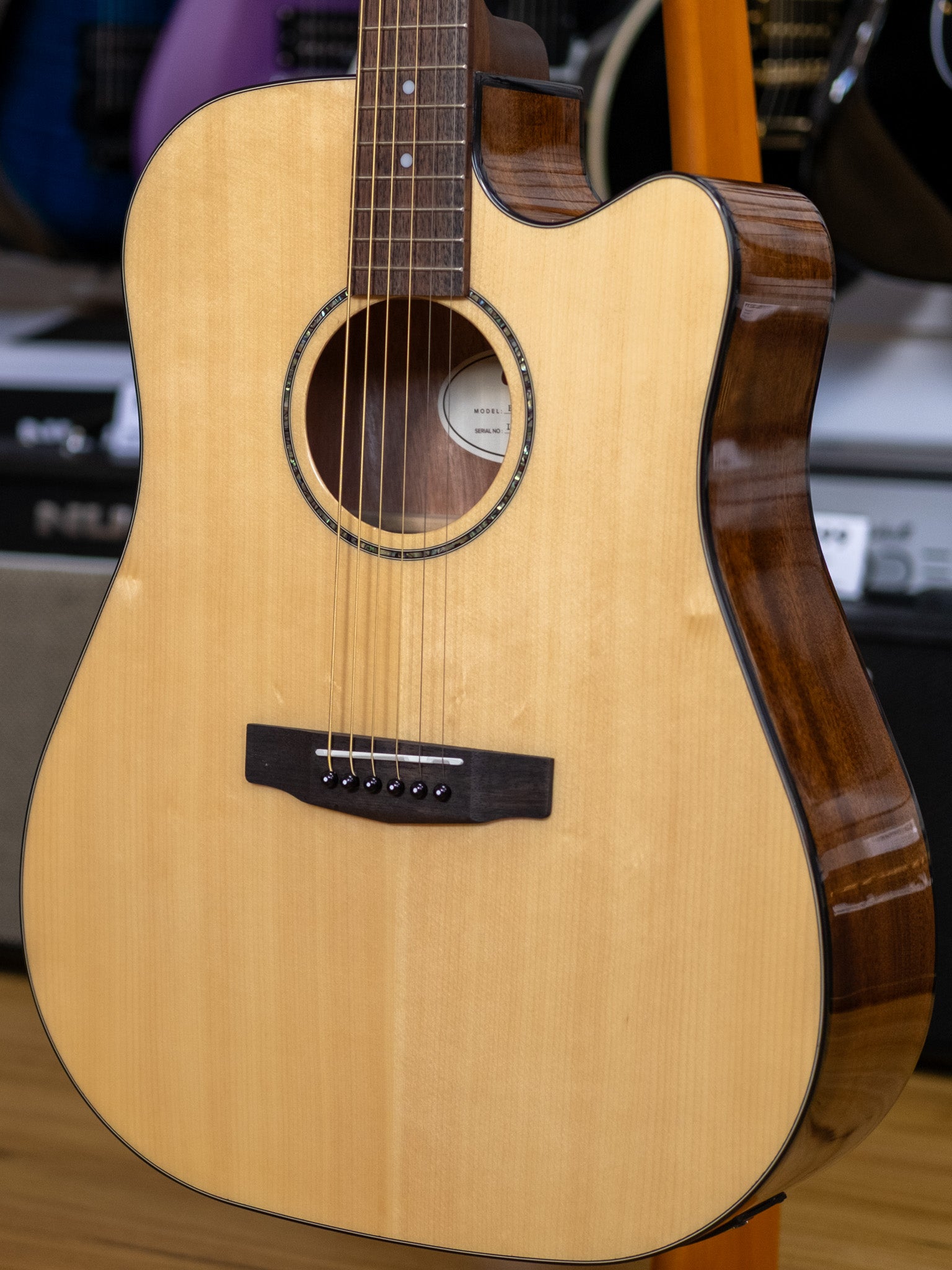 Cort Earth 60 Series Dreadnought Acoustic Electric Guitar (Solid Spruce)