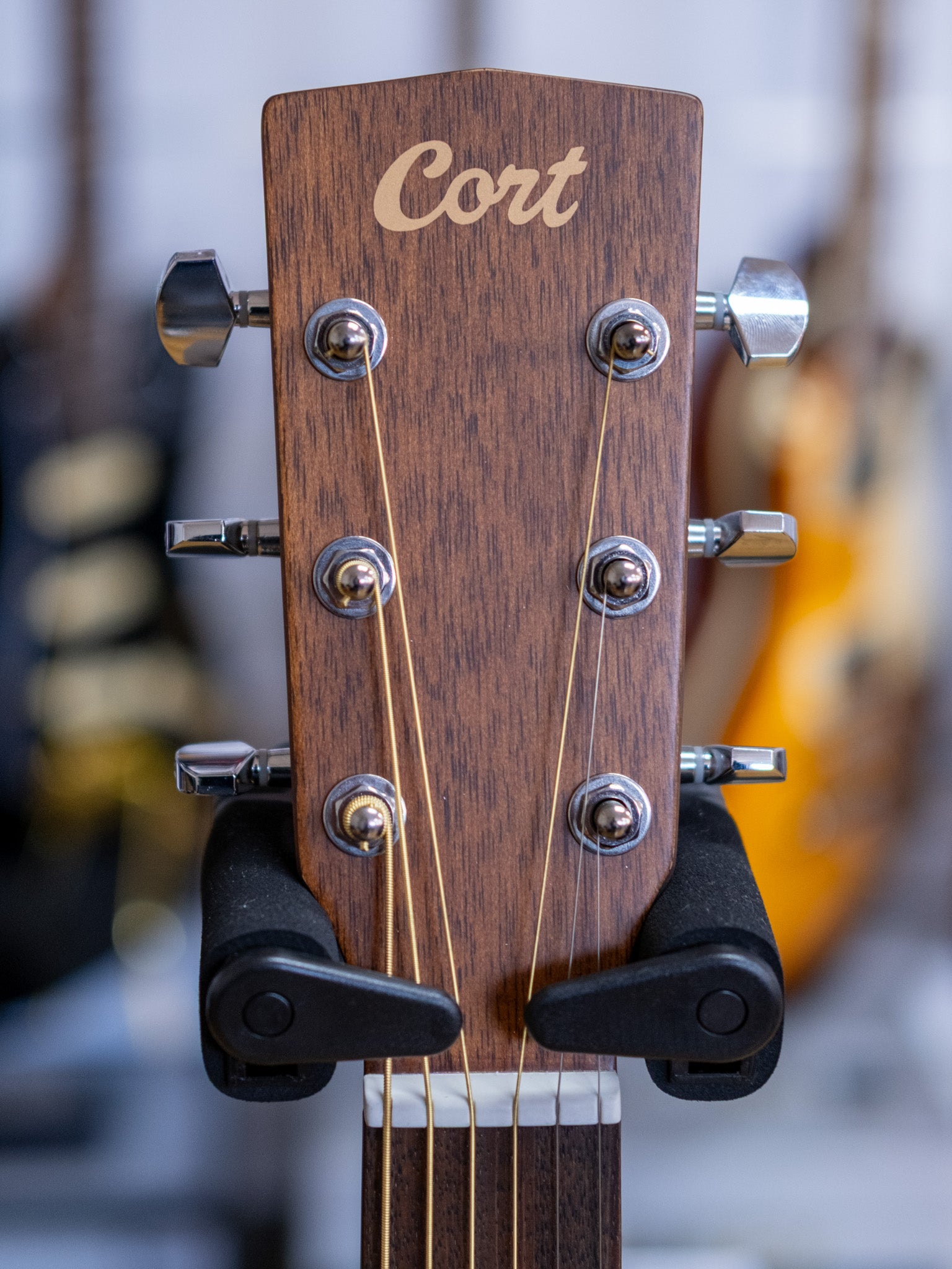 Cort Earth 60 Series Dreadnought Acoustic Electric Guitar (Solid Spruce)