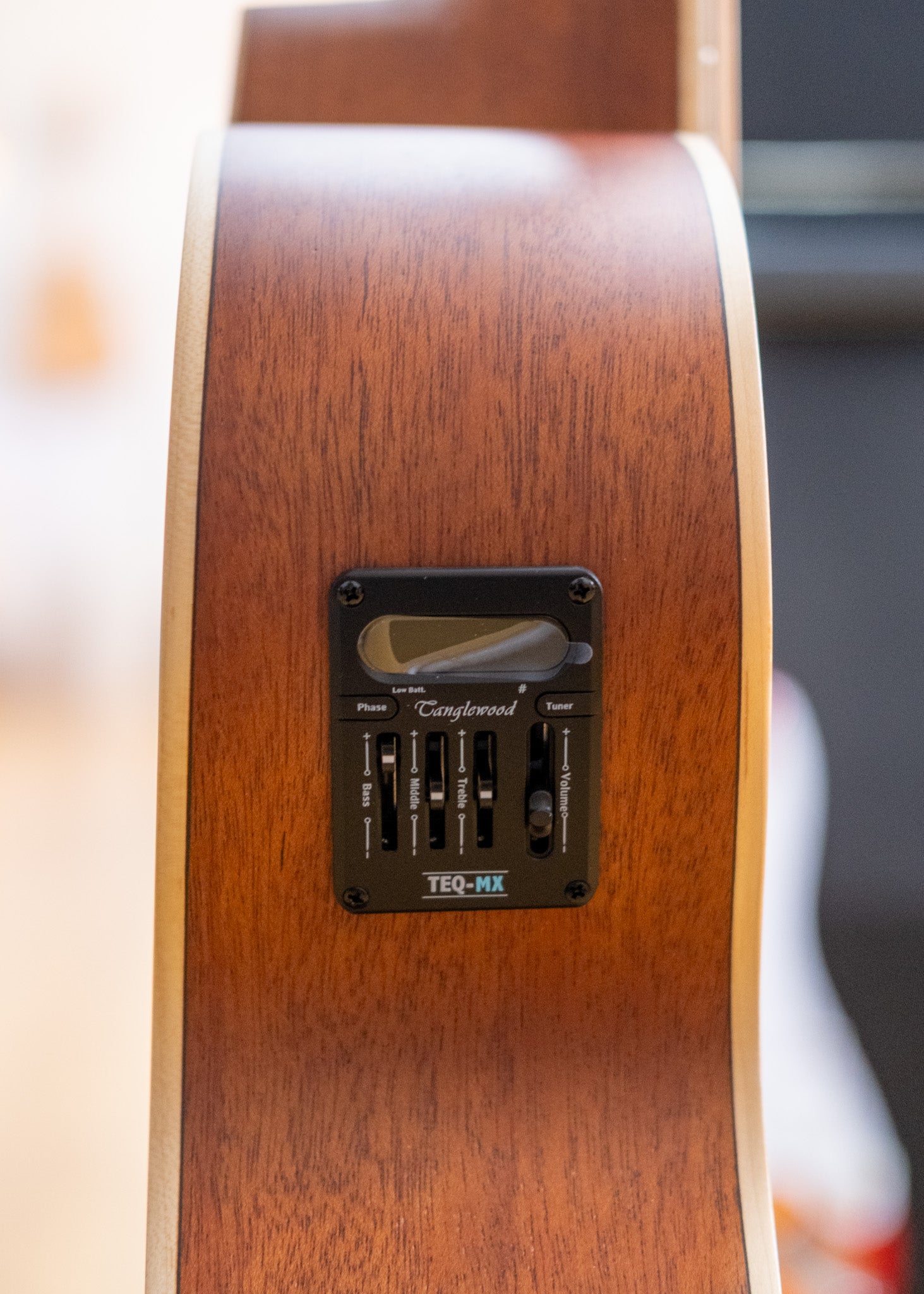 Tanglewood Union Series Super Folk Acoustic Electric Guitar with Case