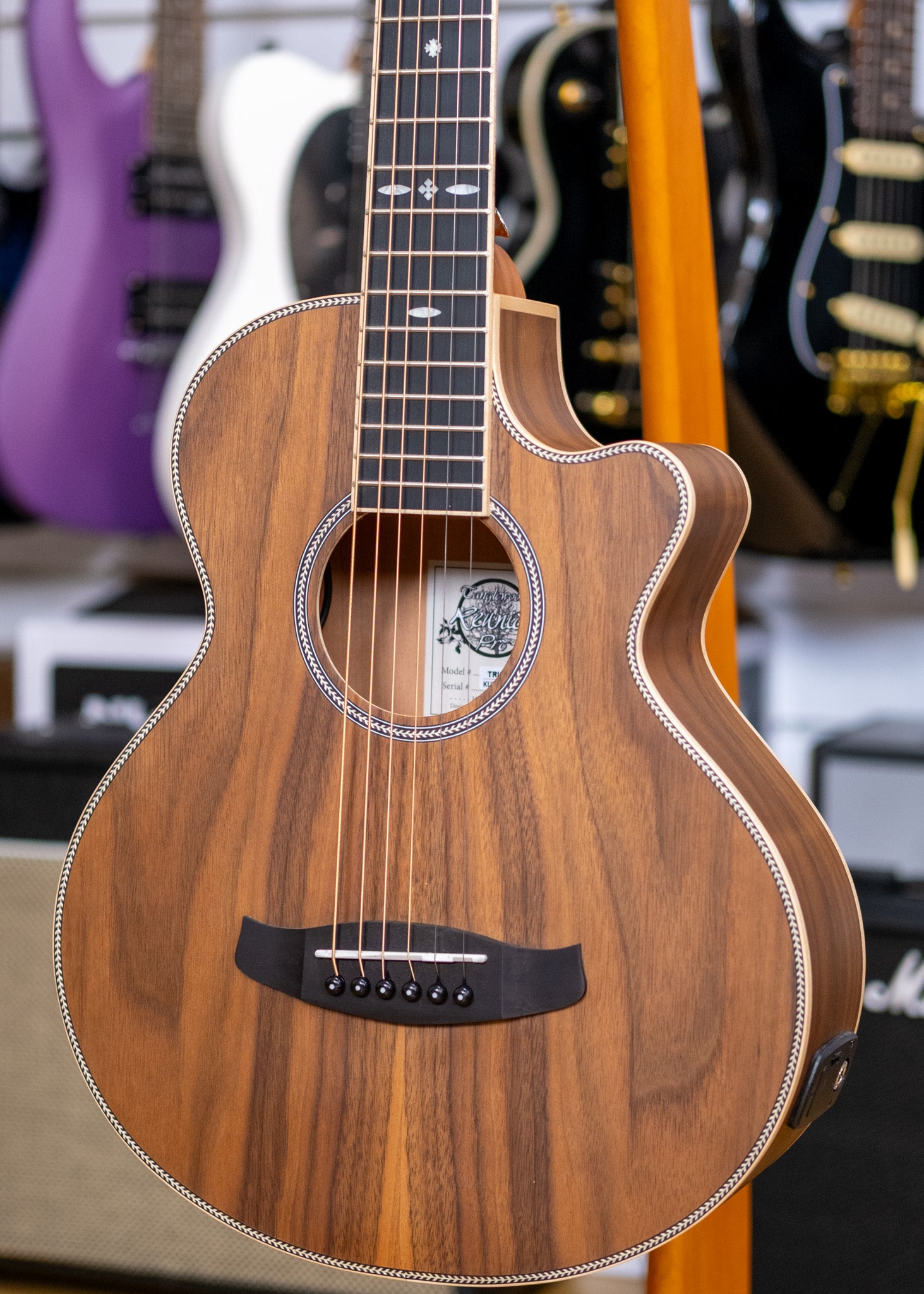 Tanglewood Reunion Pro Traveller Acoustic Electric Guitar (Figured Black Walnut)