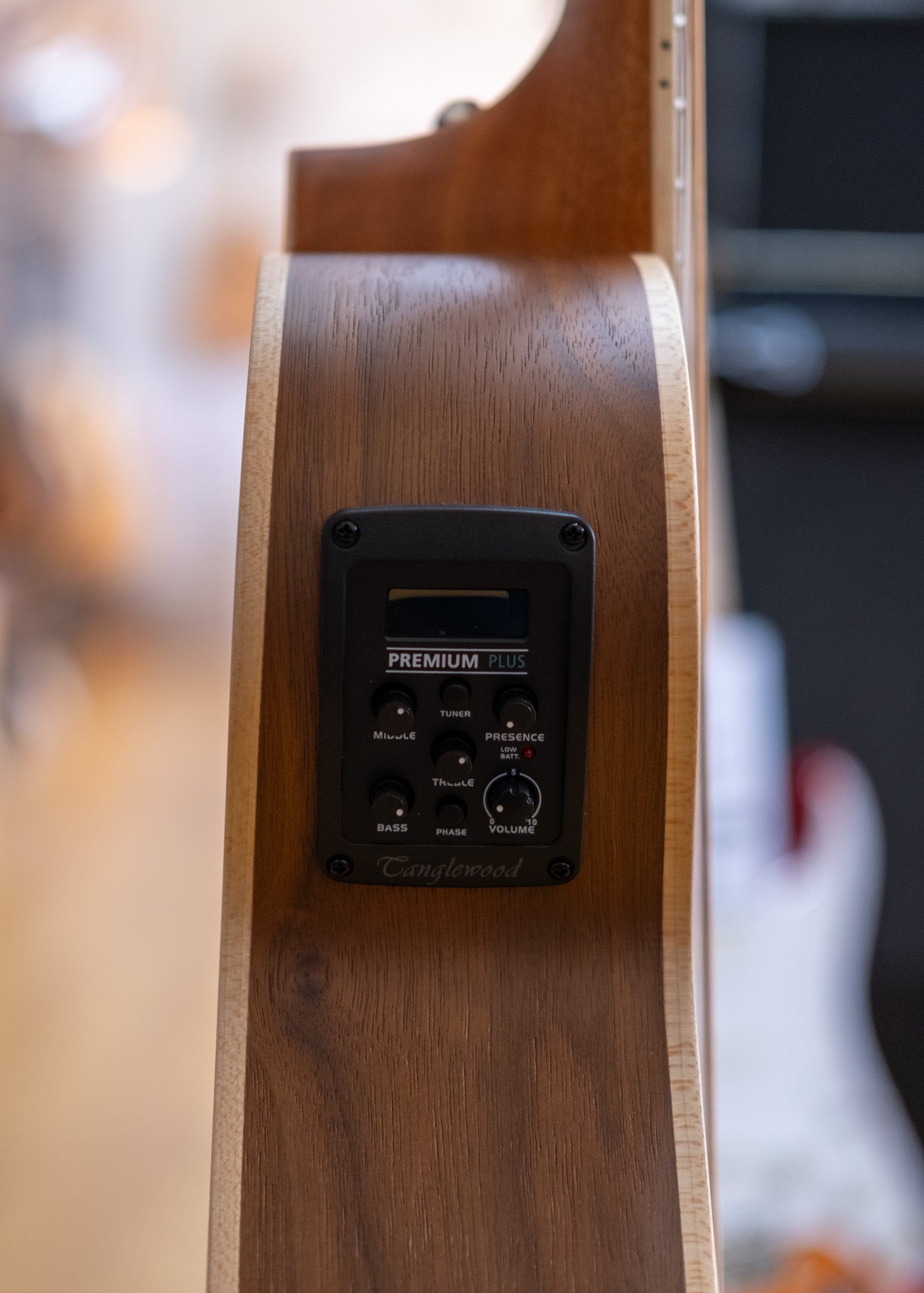 Tanglewood Reunion Pro Traveller Acoustic Electric Guitar (Figured Black Walnut)