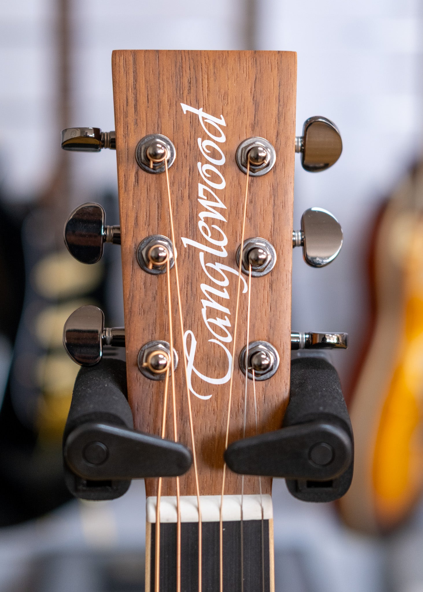 Tanglewood Reunion Pro Traveller Acoustic Electric Guitar (Figured Black Walnut)