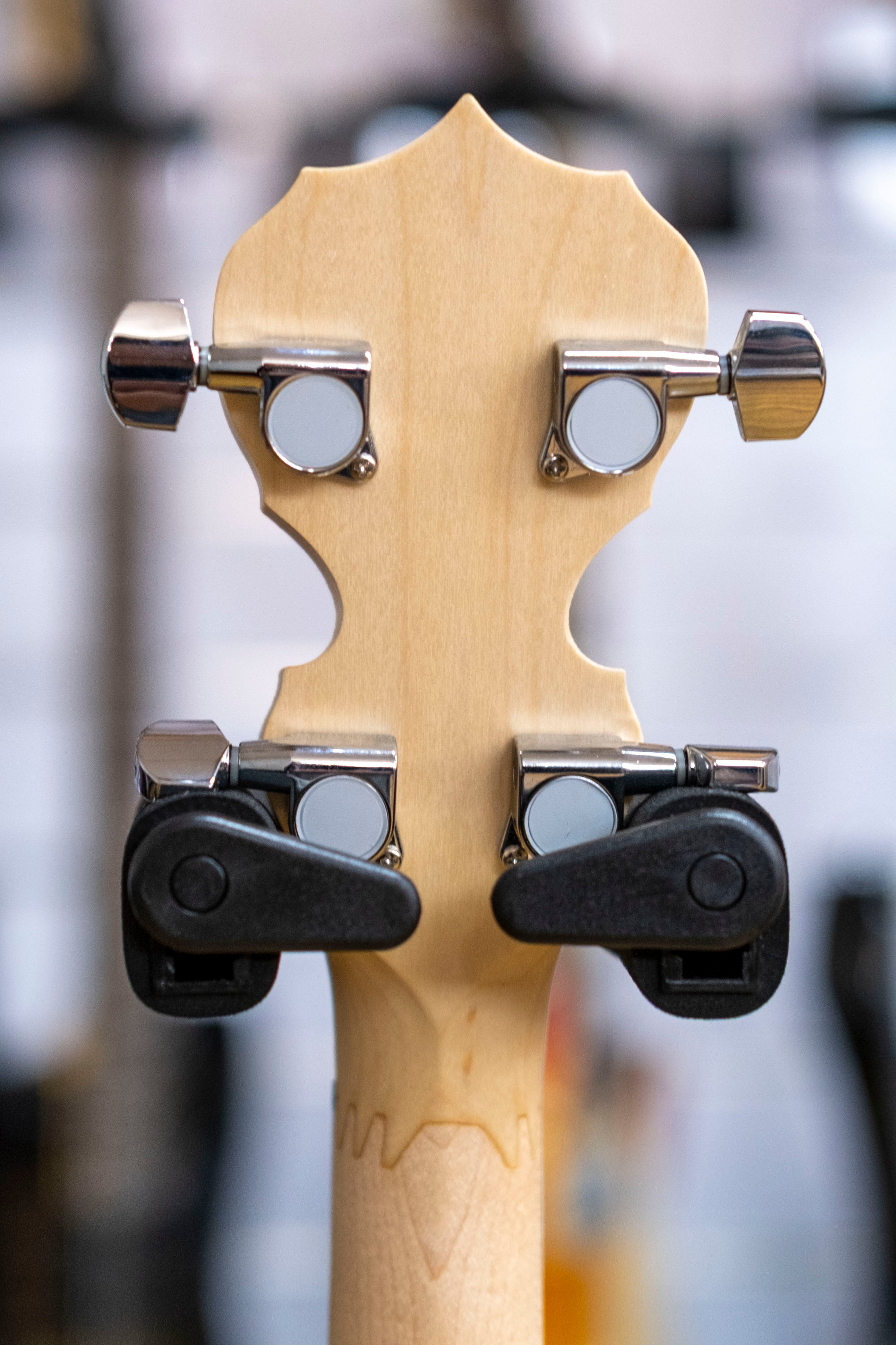 Deering Goodtime-G Openback 5-String Banjo