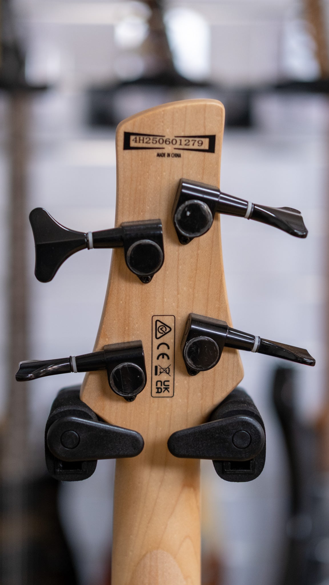 Ibanez Gio SR200B Bass Guitar (Walnut Flat)