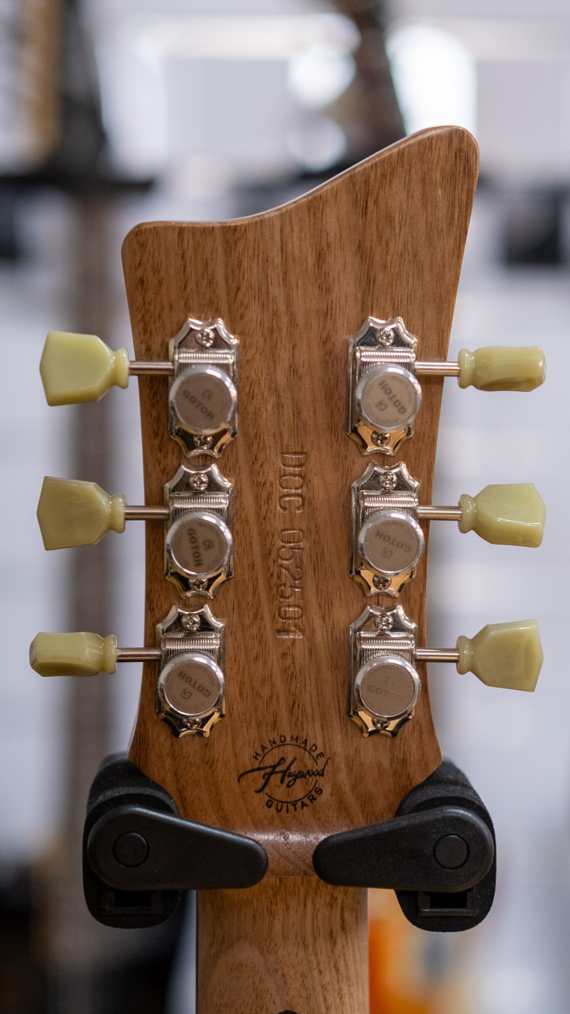 Haywood Guitars DOC Electric Guitar (Blackwood)