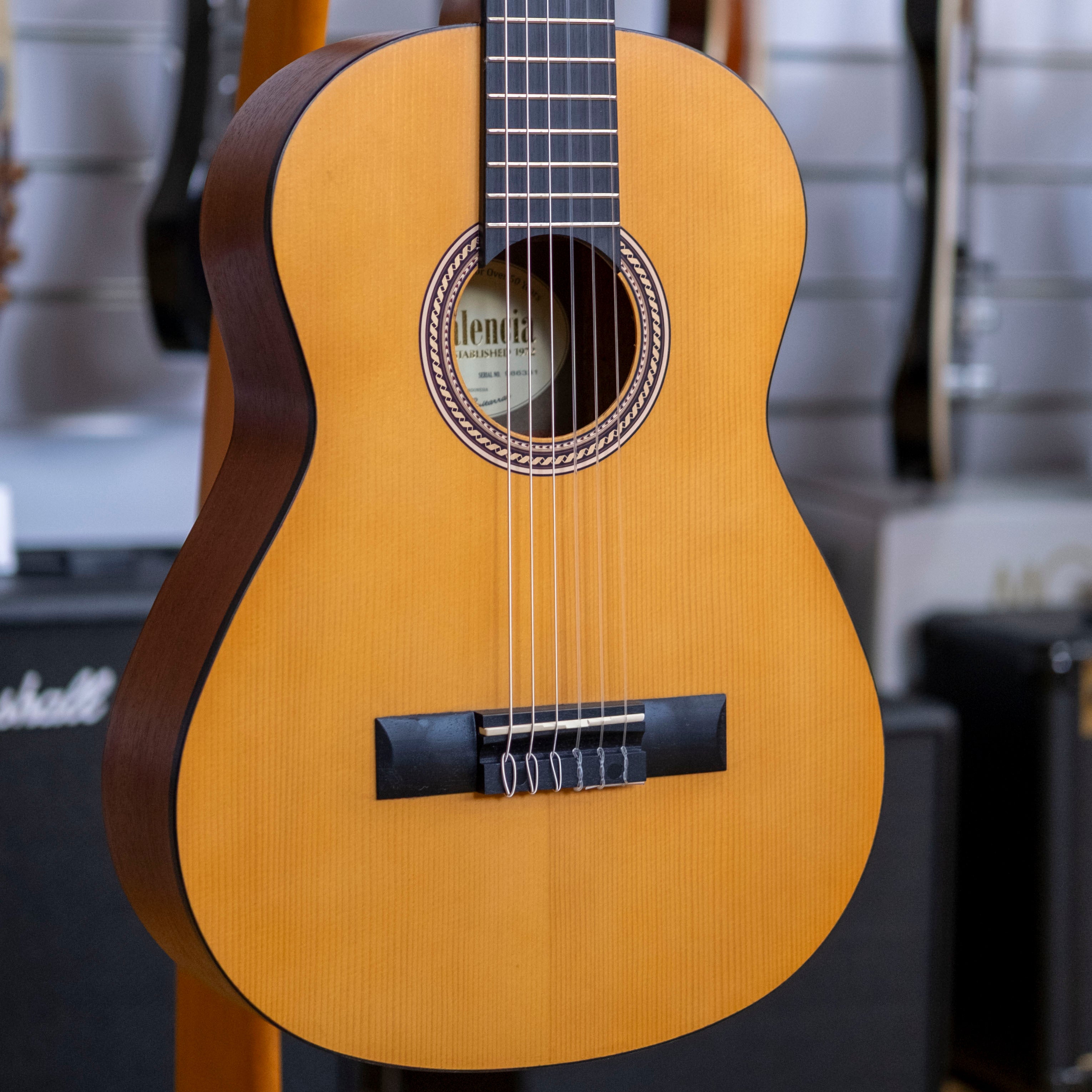 Valencia 200 Series 1/2 Size Nylon String Classical Guitar (Antique Natural)