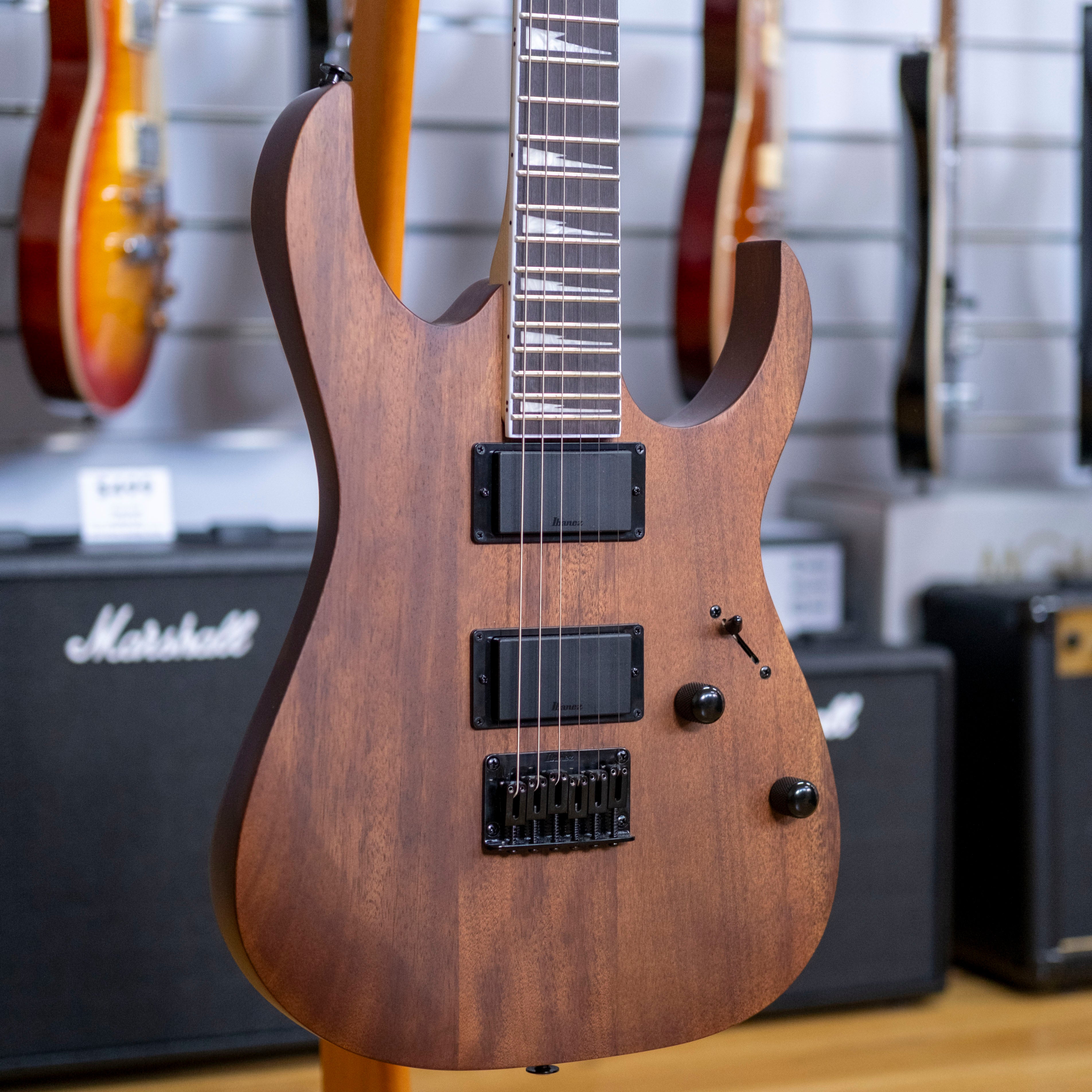 Ibanez Gio RG121DX Electric Guitar (Walnut Flat)