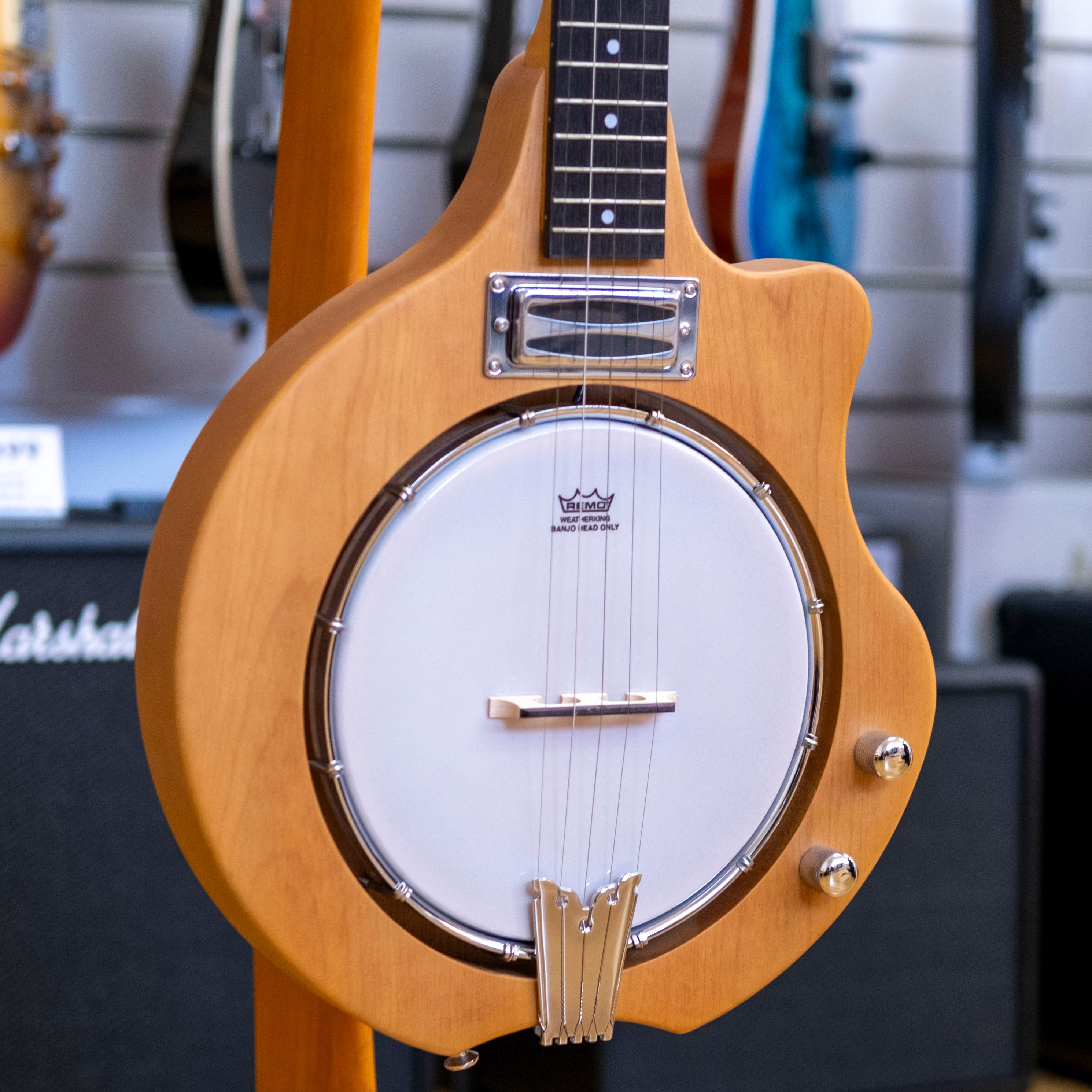 Bryden 5-String Electric Hybrid Mountain Banjo