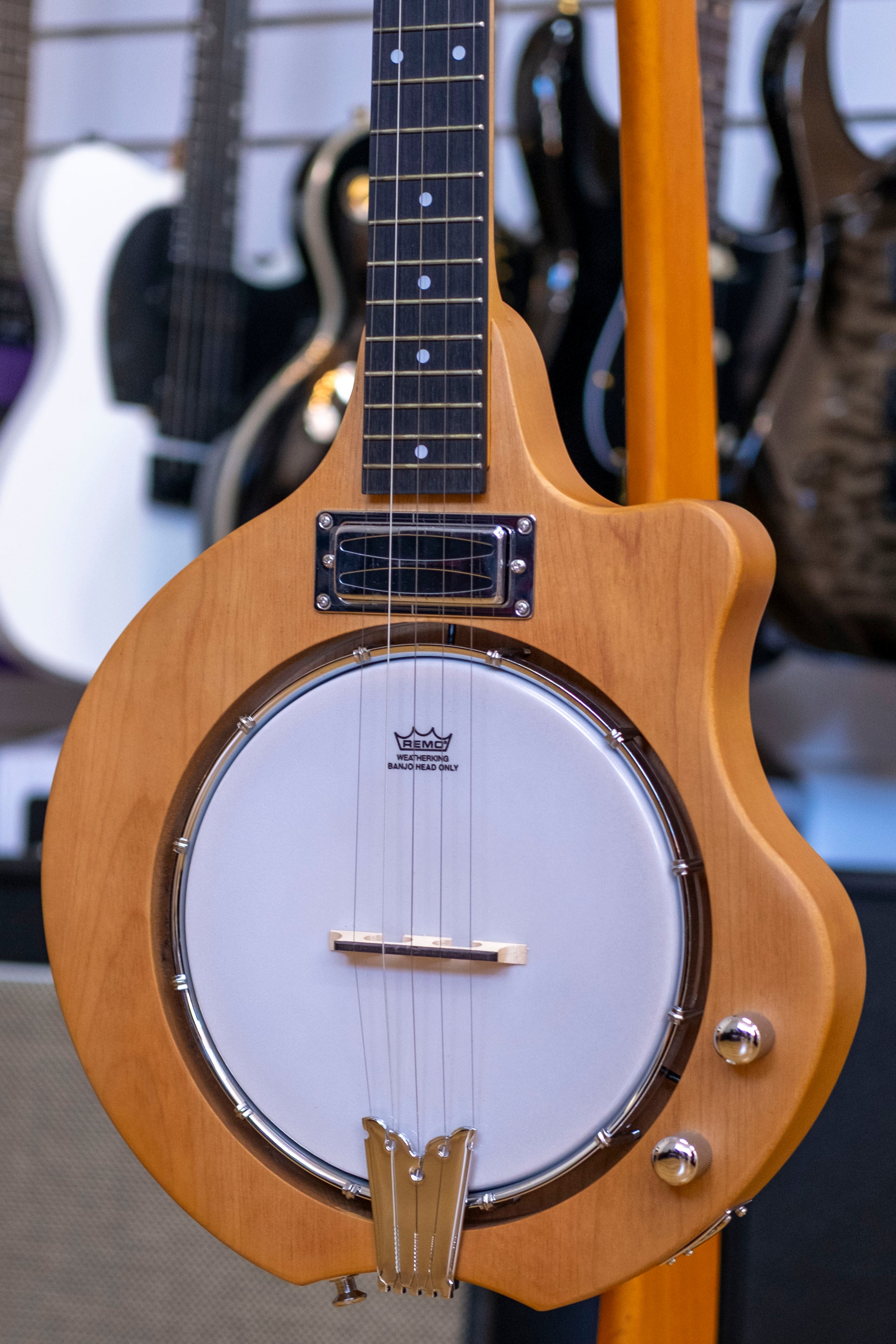 Bryden 5-String Electric Hybrid Mountain Banjo