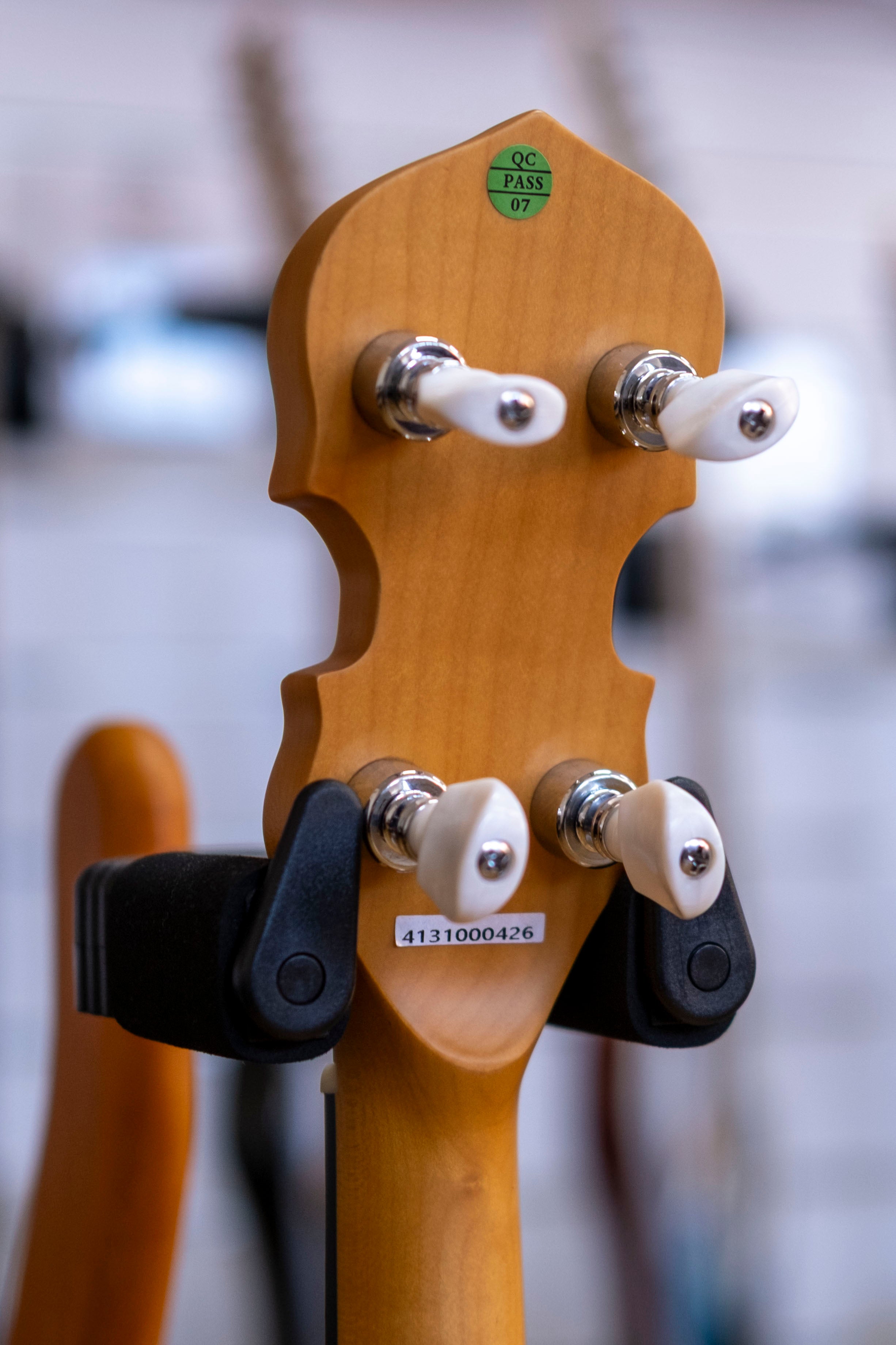 Bryden 5-String Electric Hybrid Mountain Banjo
