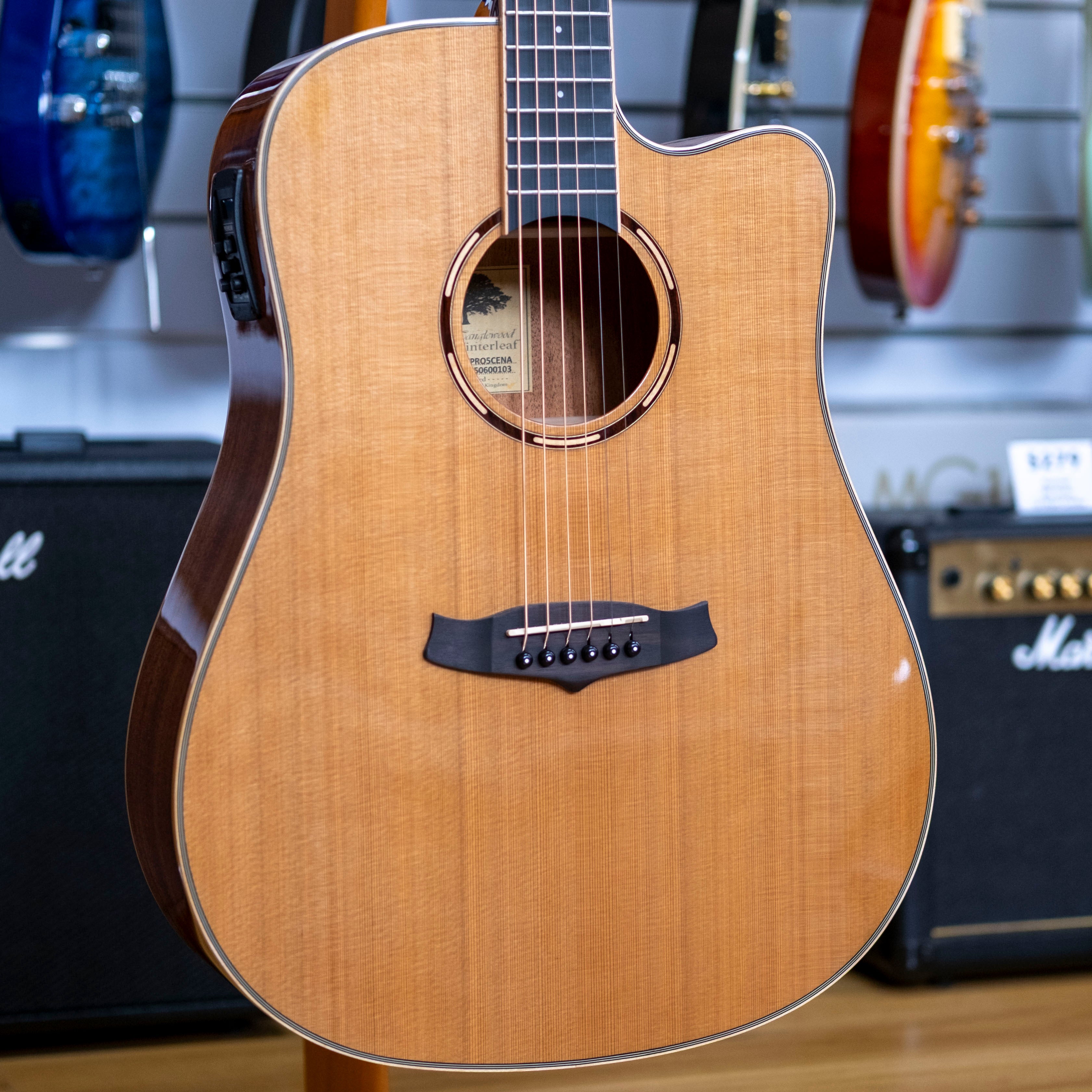 Tanglewood Winterleaf Pro Dreadnought Acoustic Electric Guitar