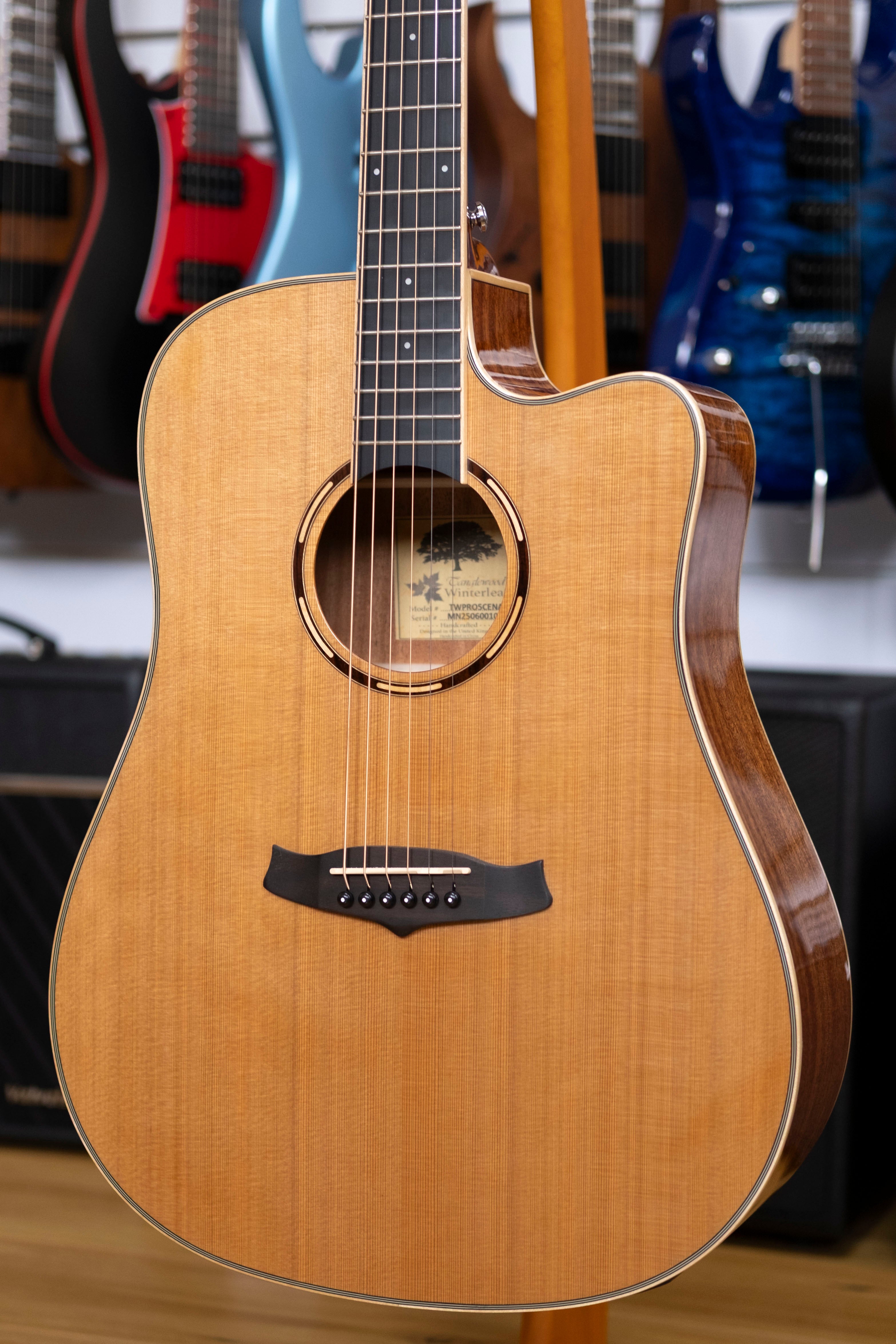 Tanglewood Winterleaf Pro Dreadnought Acoustic Electric Guitar