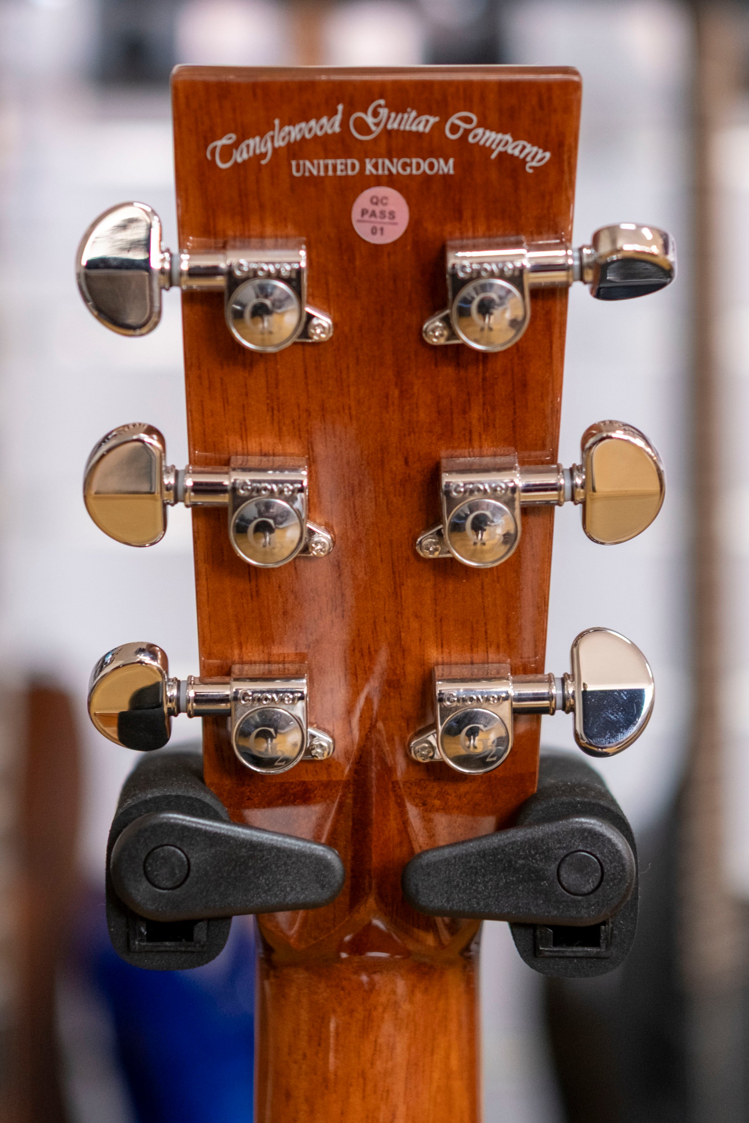 Tanglewood Winterleaf Pro Dreadnought Acoustic Electric Guitar