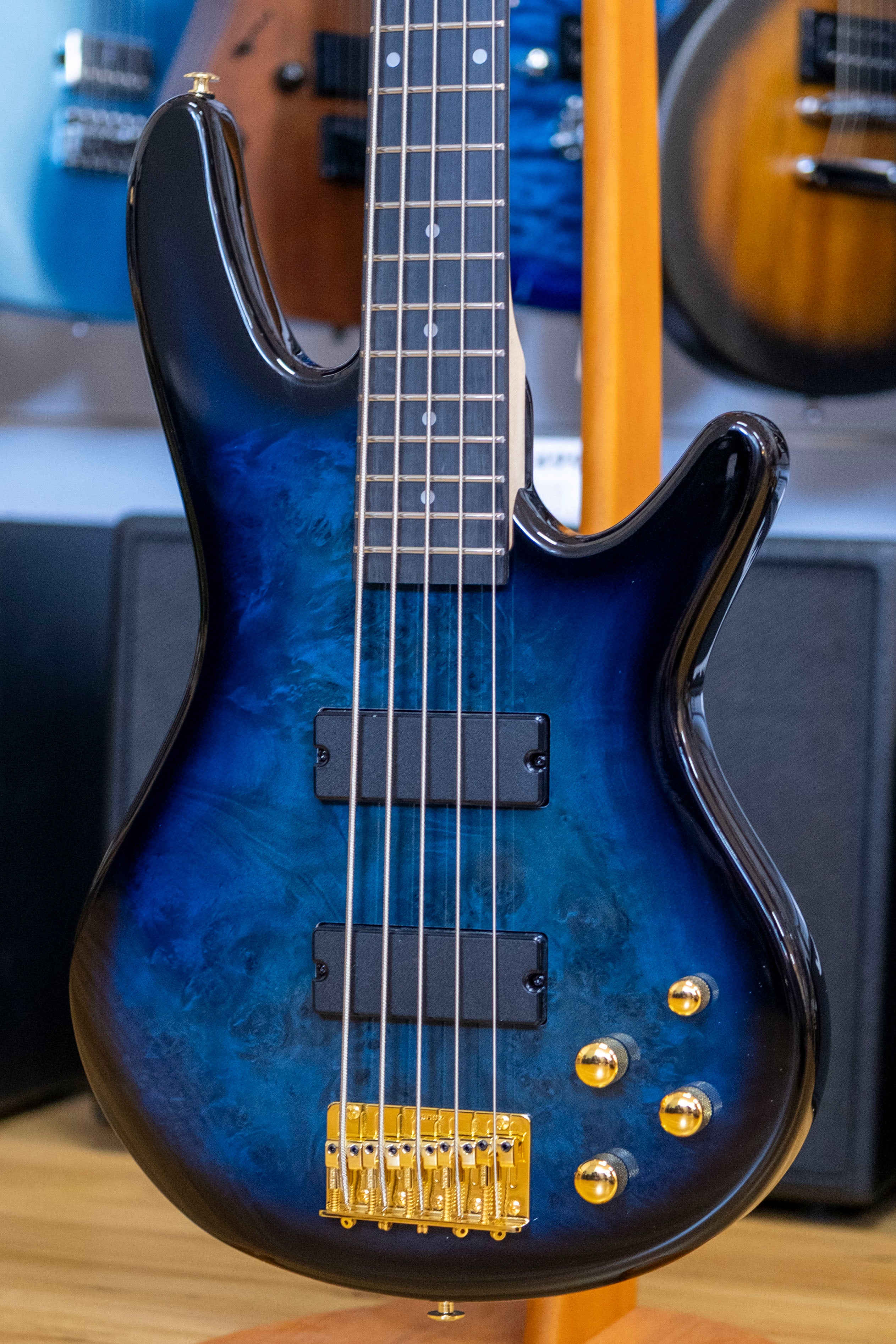 Ibanez Soundgear Gio 5-String Bass Guitar (Transparent Marine Burst)