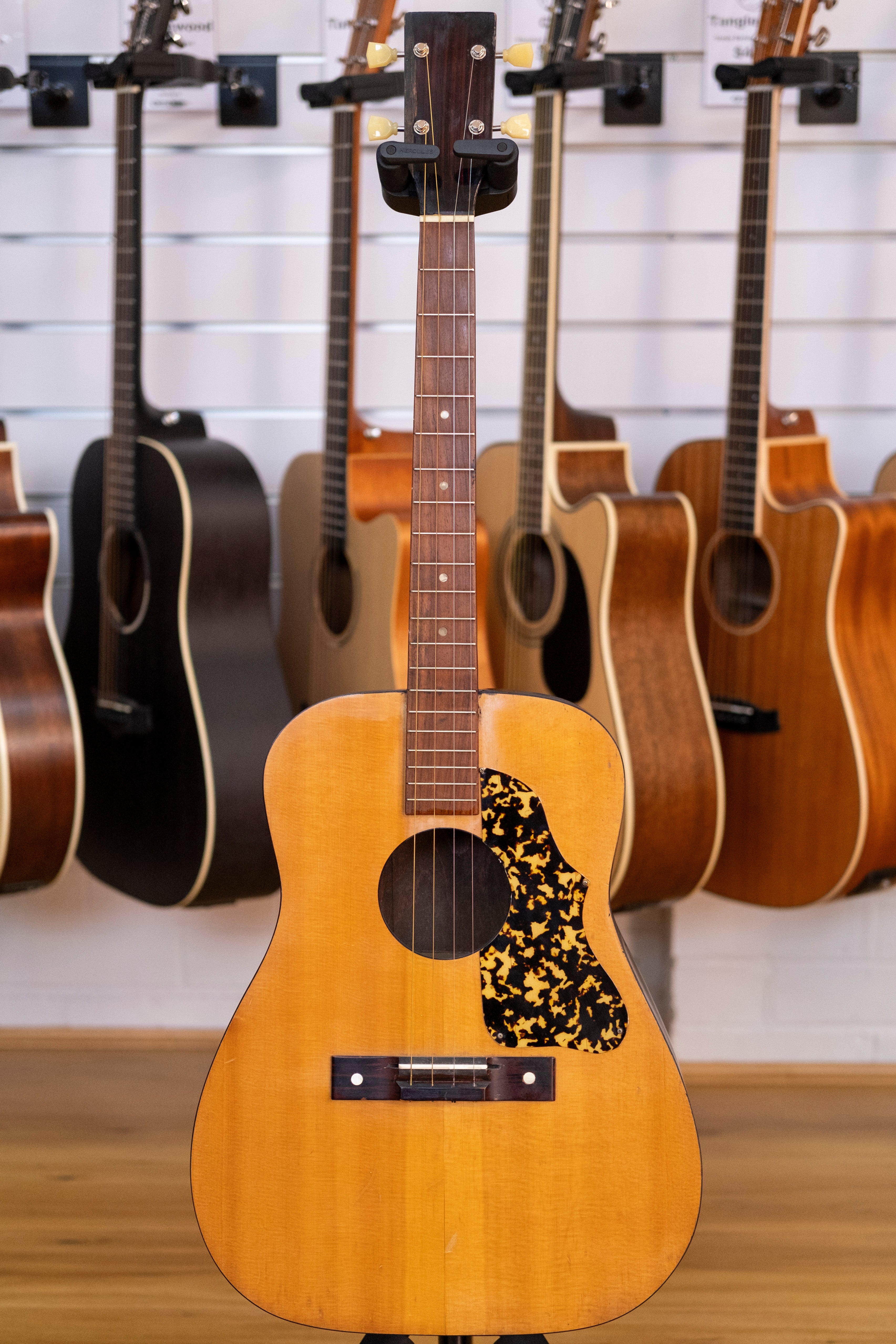 Kasuga Tenor Guitar with Gig Bag