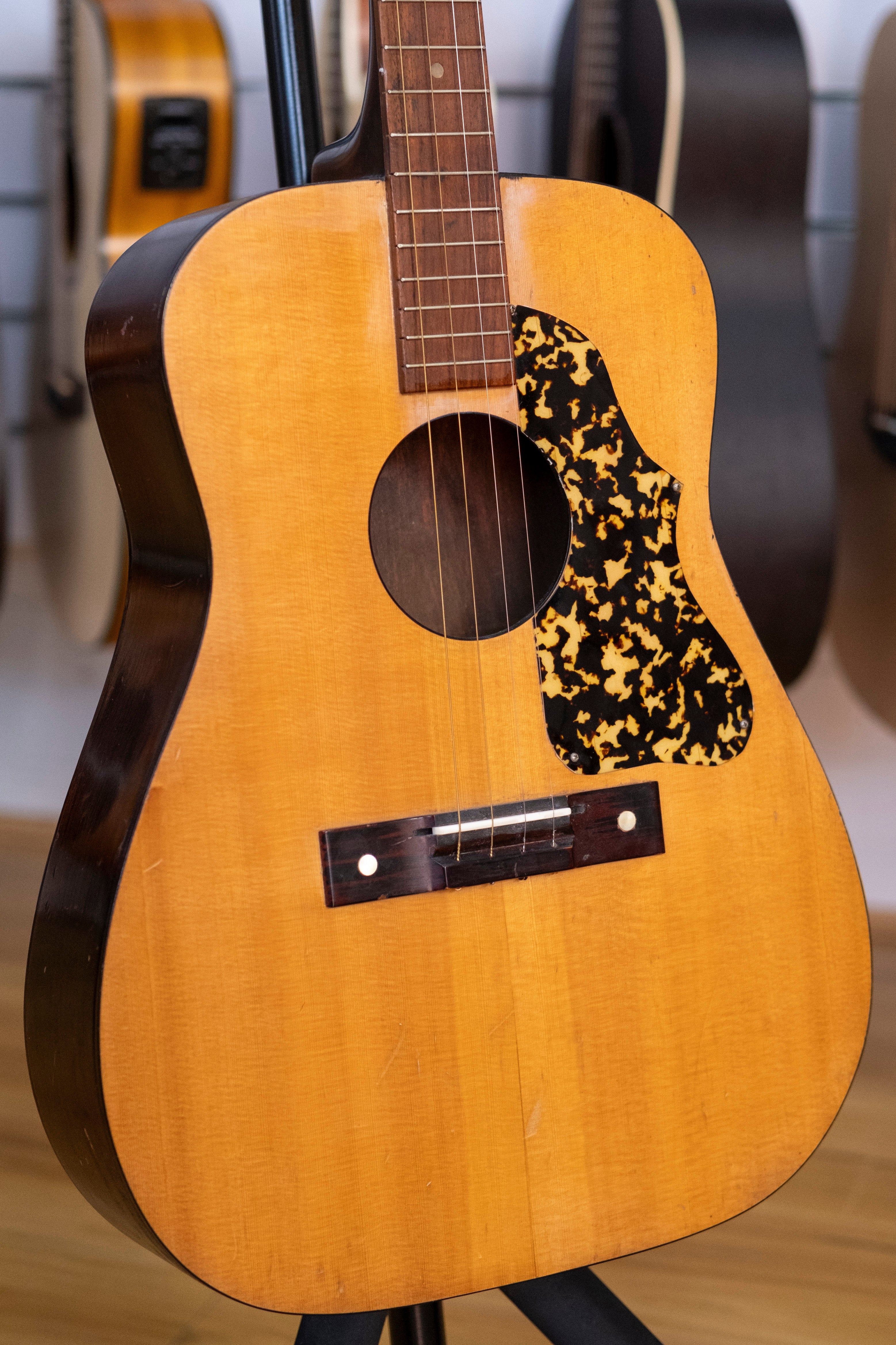 Kasuga Tenor Guitar with Gig Bag