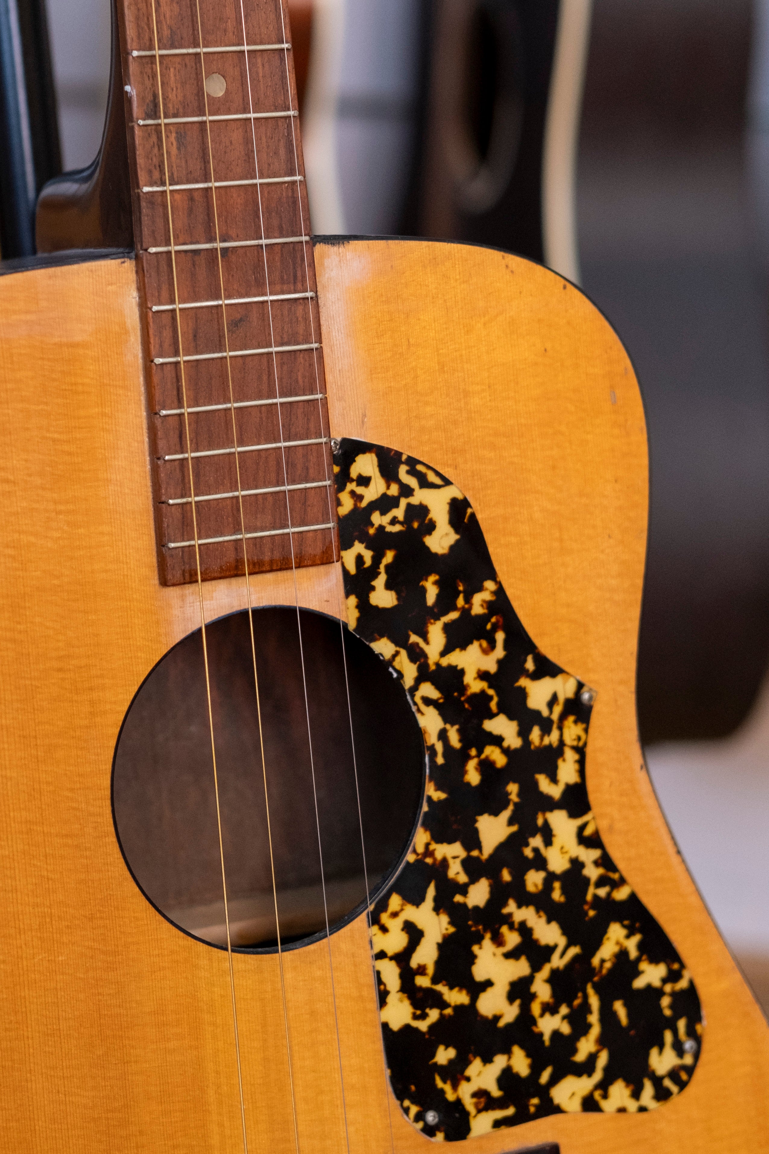 Kasuga Tenor Guitar with Gig Bag