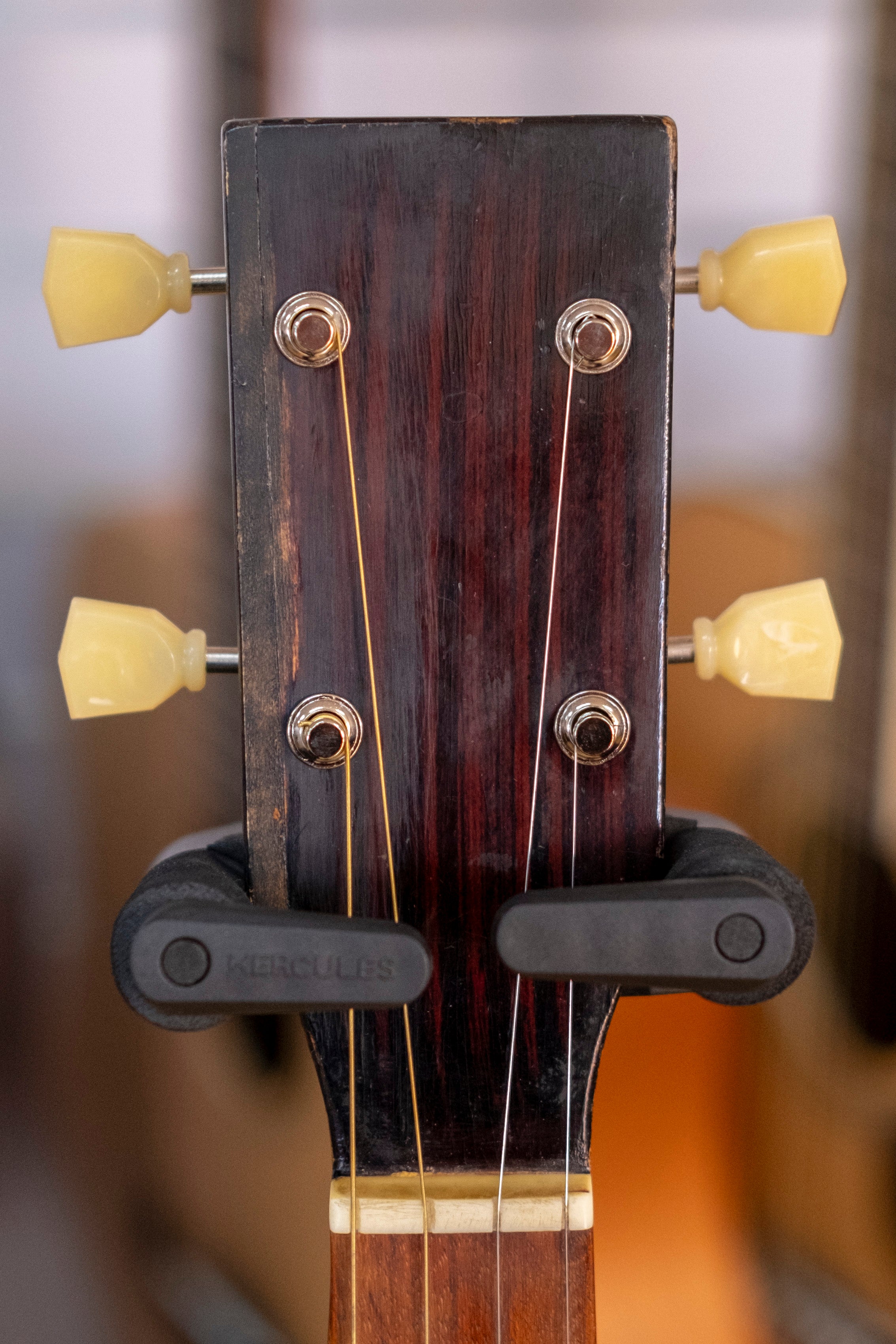 Kasuga Tenor Guitar with Gig Bag