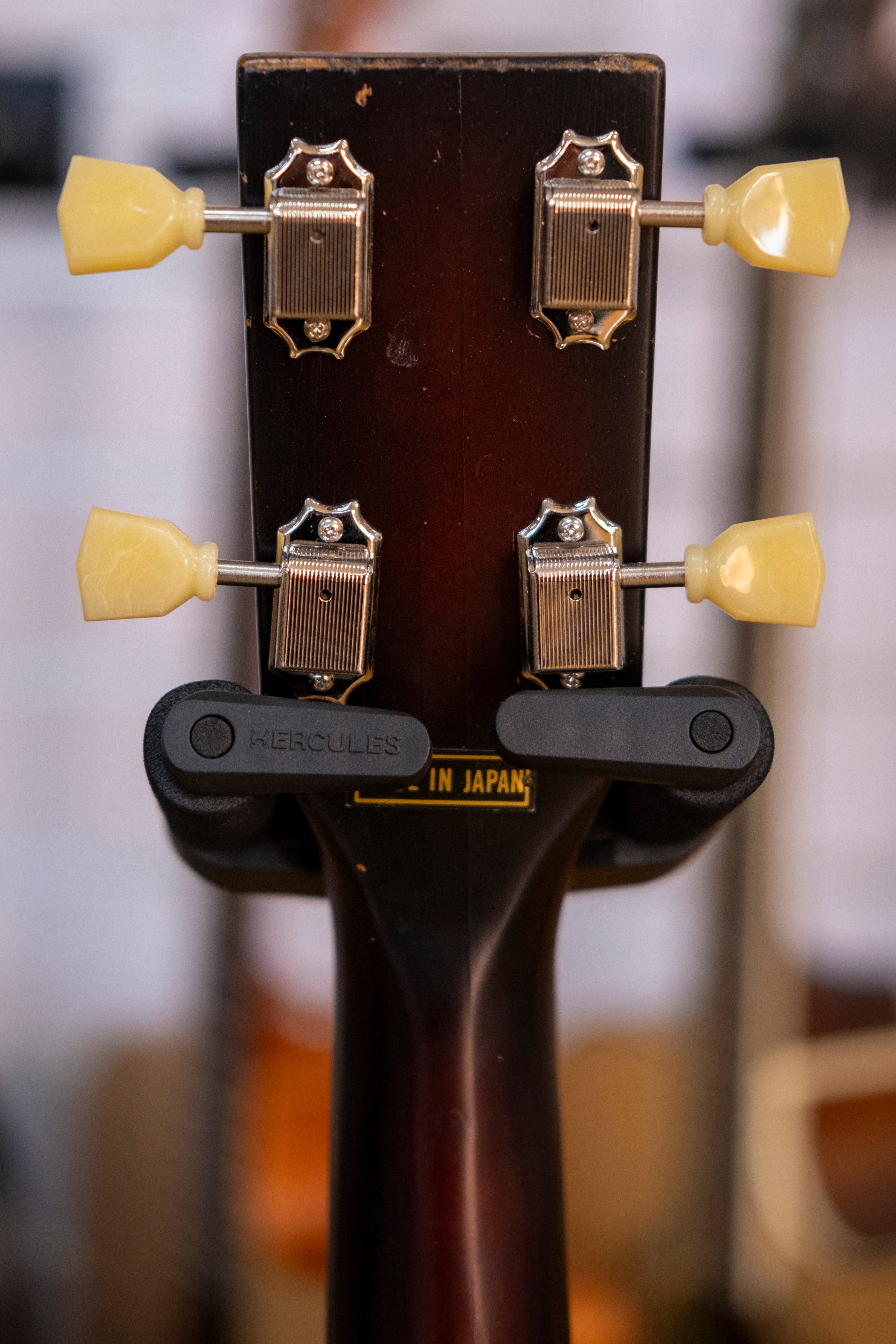 Kasuga Tenor Guitar with Gig Bag