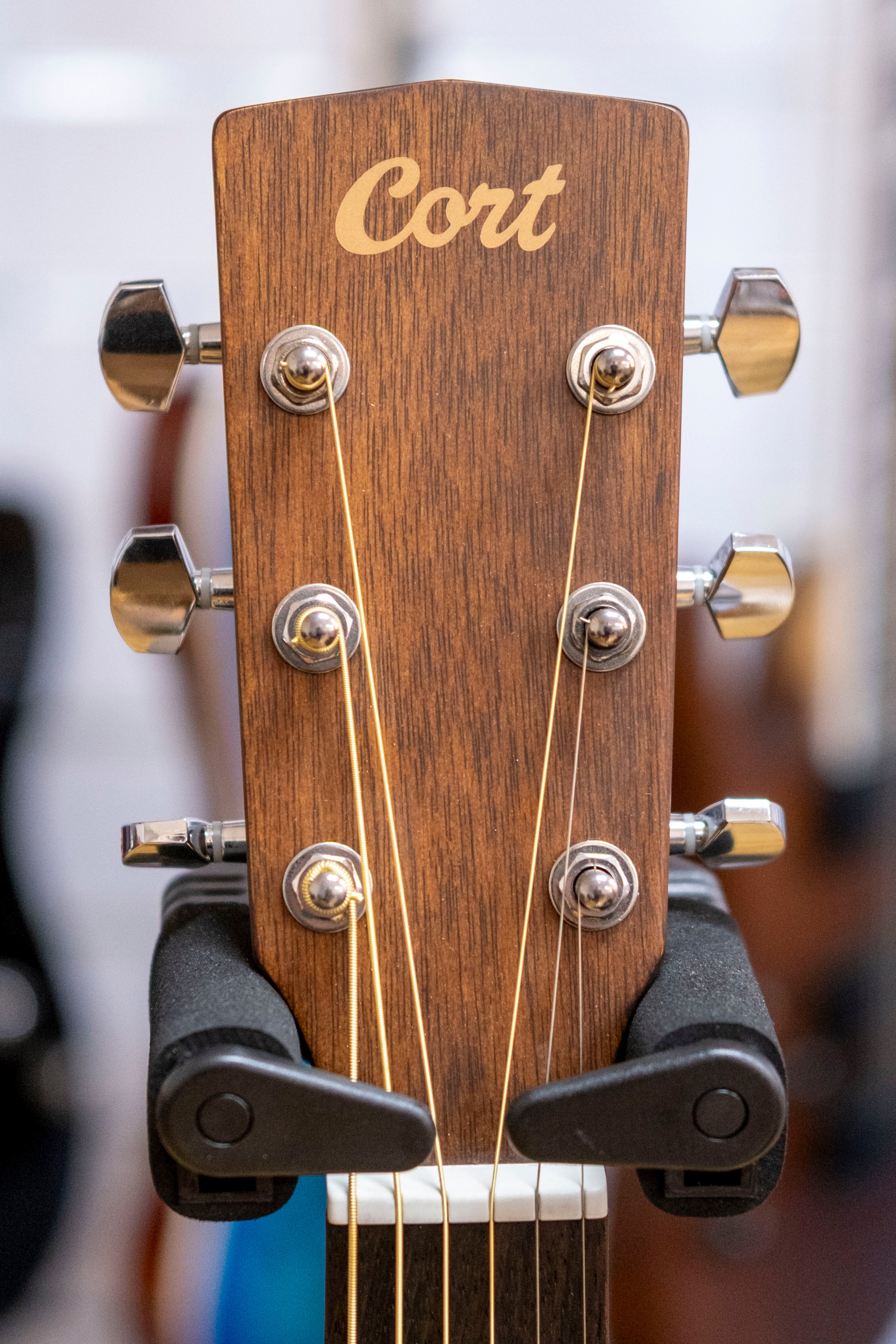 Cort Earth 60 Series Dreadnought Acoustic Electric Guitar (Solid Spruce)