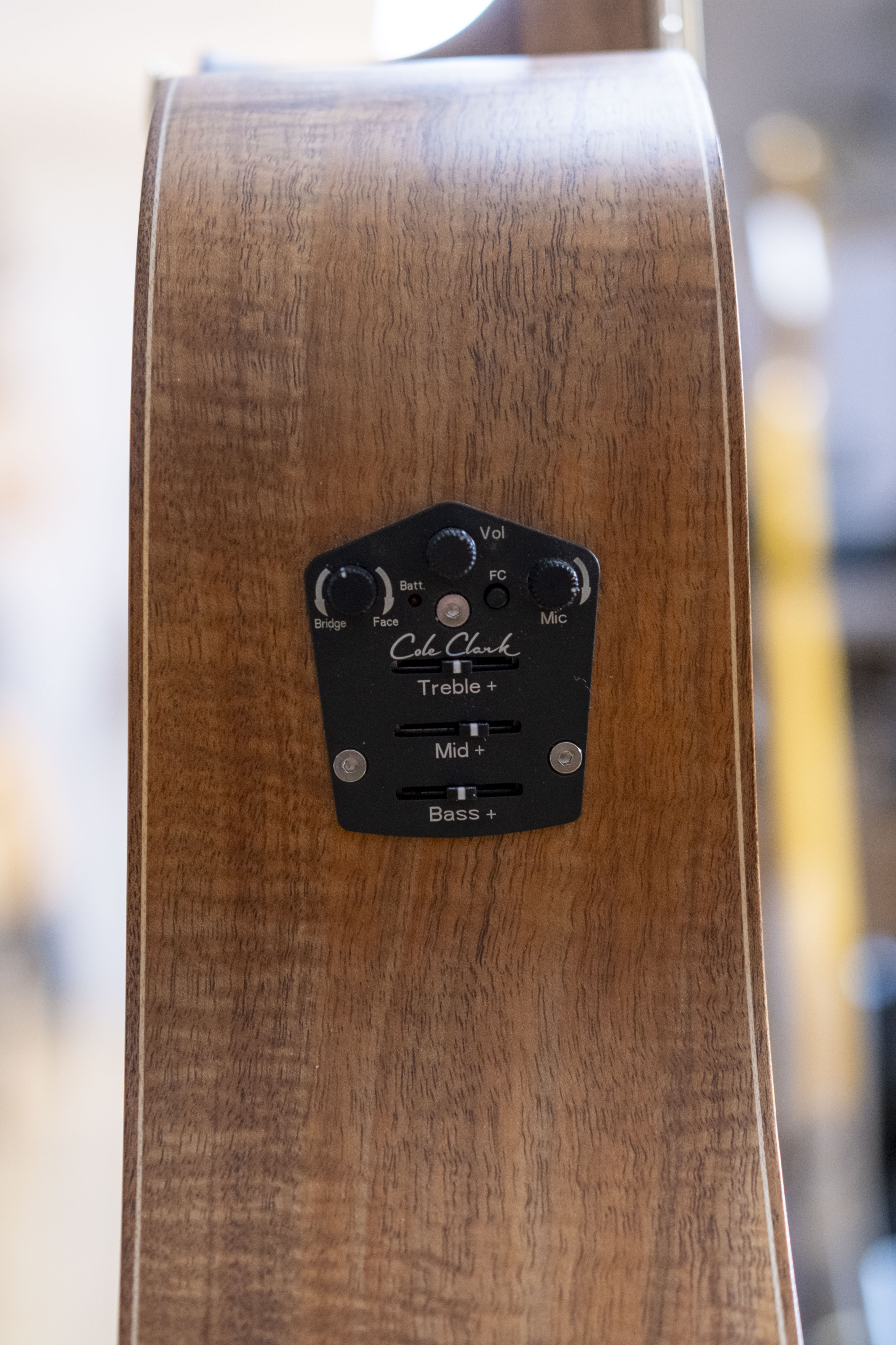 Cole Clark Master Grade Dreadnought Acoustic Electric Guitar with Hardcase (Huon Pine/Blackwood) (Pre-Owned, 2023)