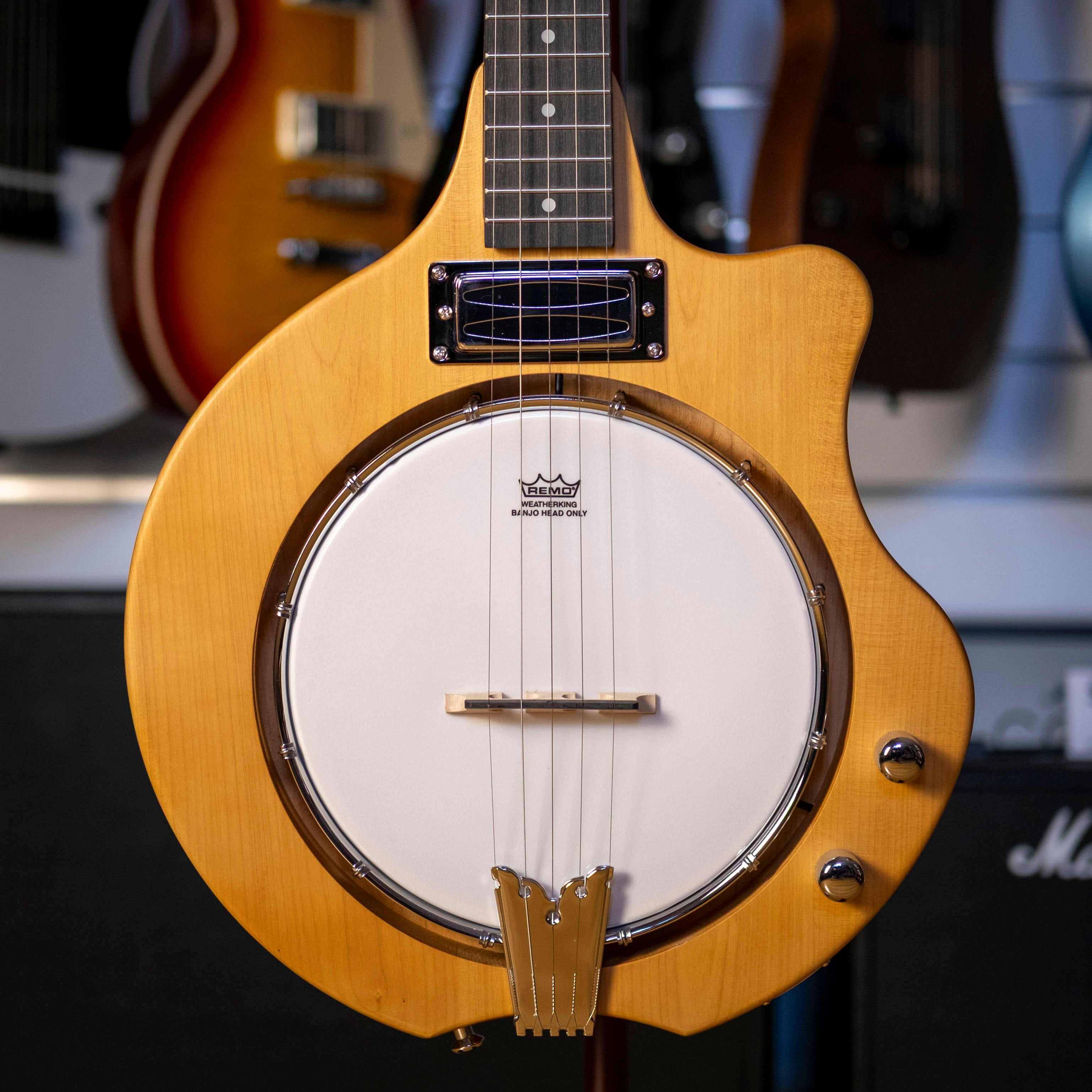 Bryden 5-String Electric Hybrid Mountain Banjo