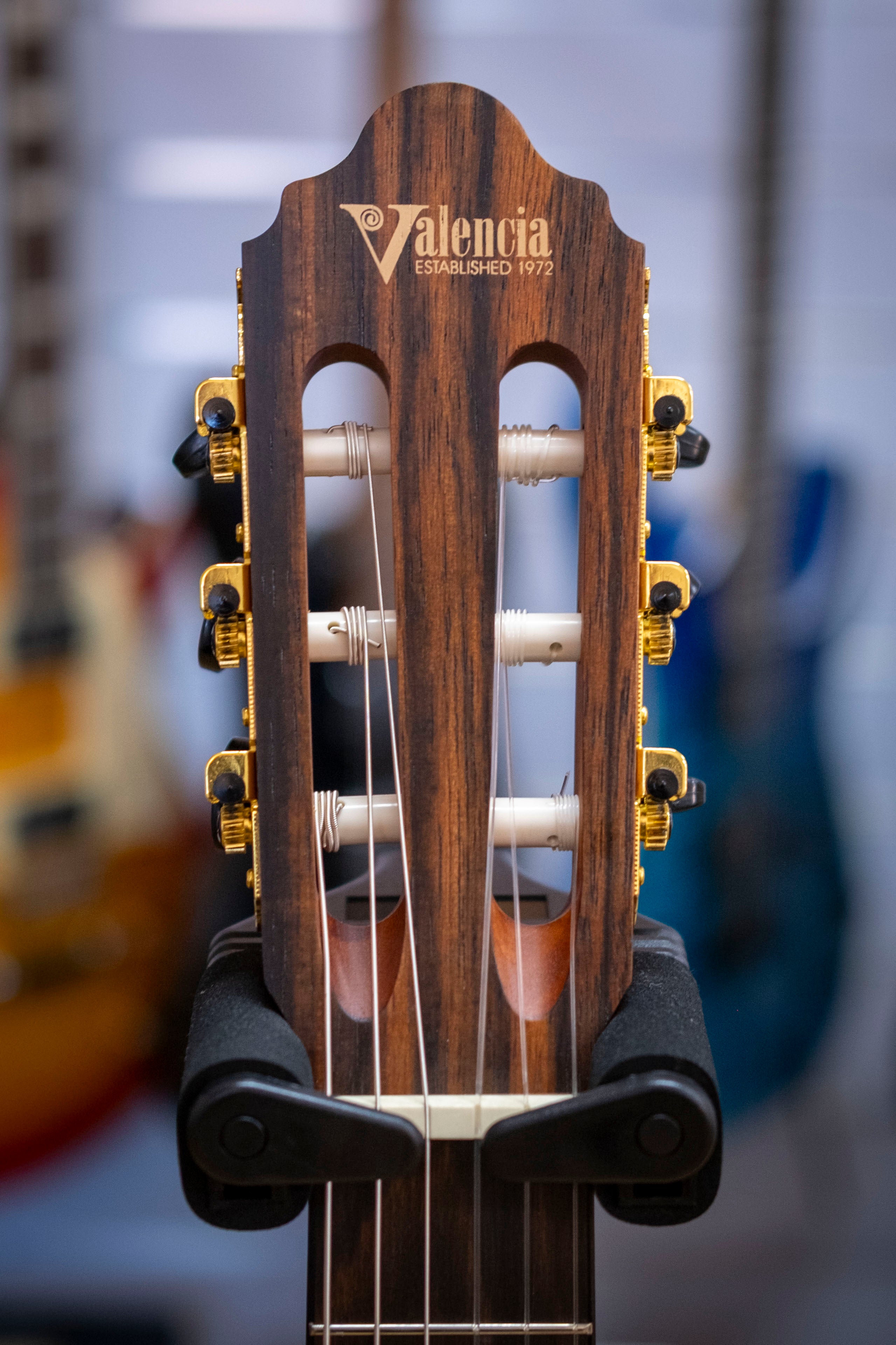 Valencia 300 Series Electric Nylon Classical Guitar (Natural Satin)