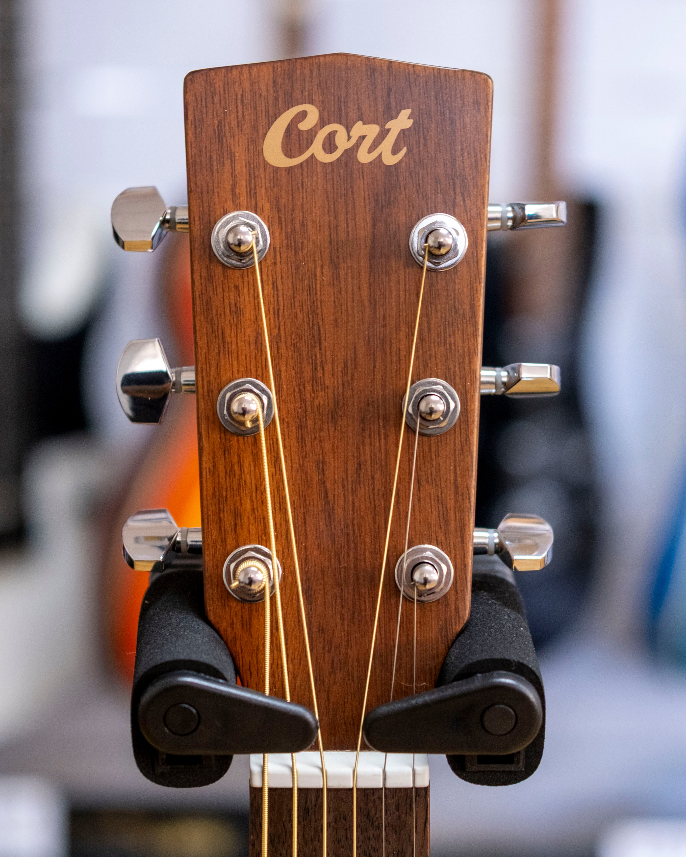 Cort Luce Series OM Acoustic Electric Guitar (Solid Spruce)