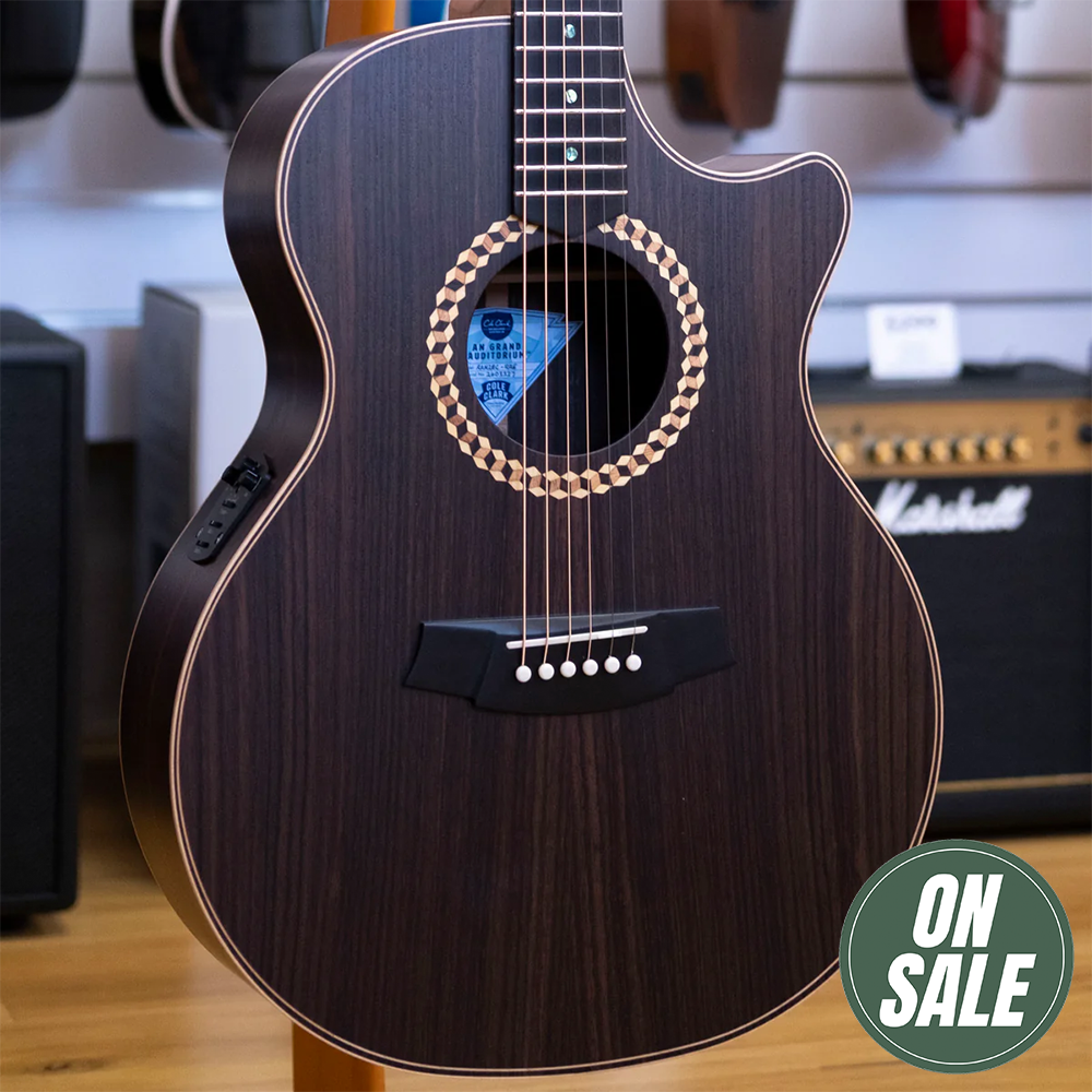 Cole Clark RAN Recording 2 Series Acoustic Electric Guitar with Hardcase (All Rosewood)