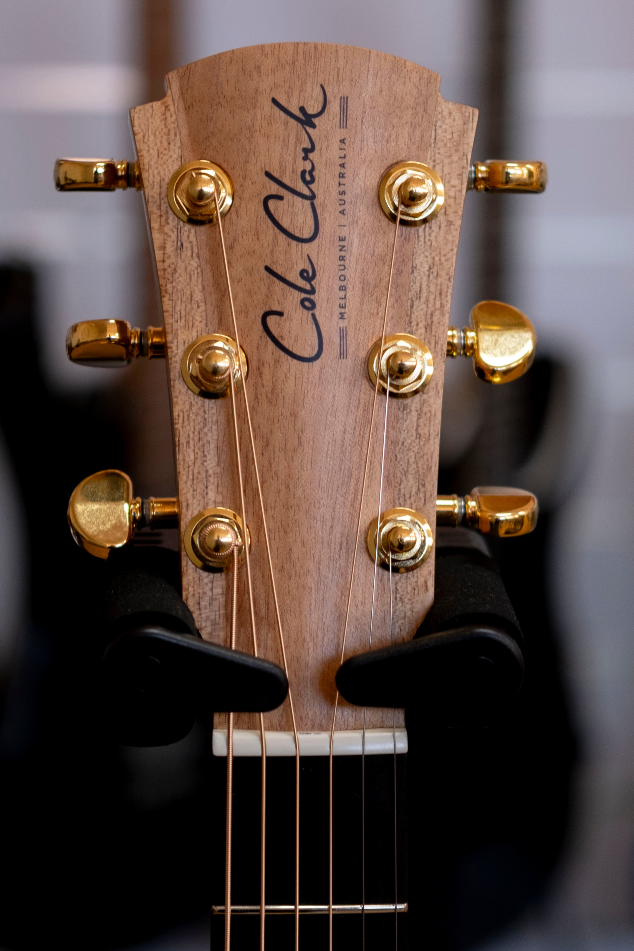 Cole Clark RAN Recording 2 Series Acoustic Electric Guitar with Hardcase (All Rosewood)