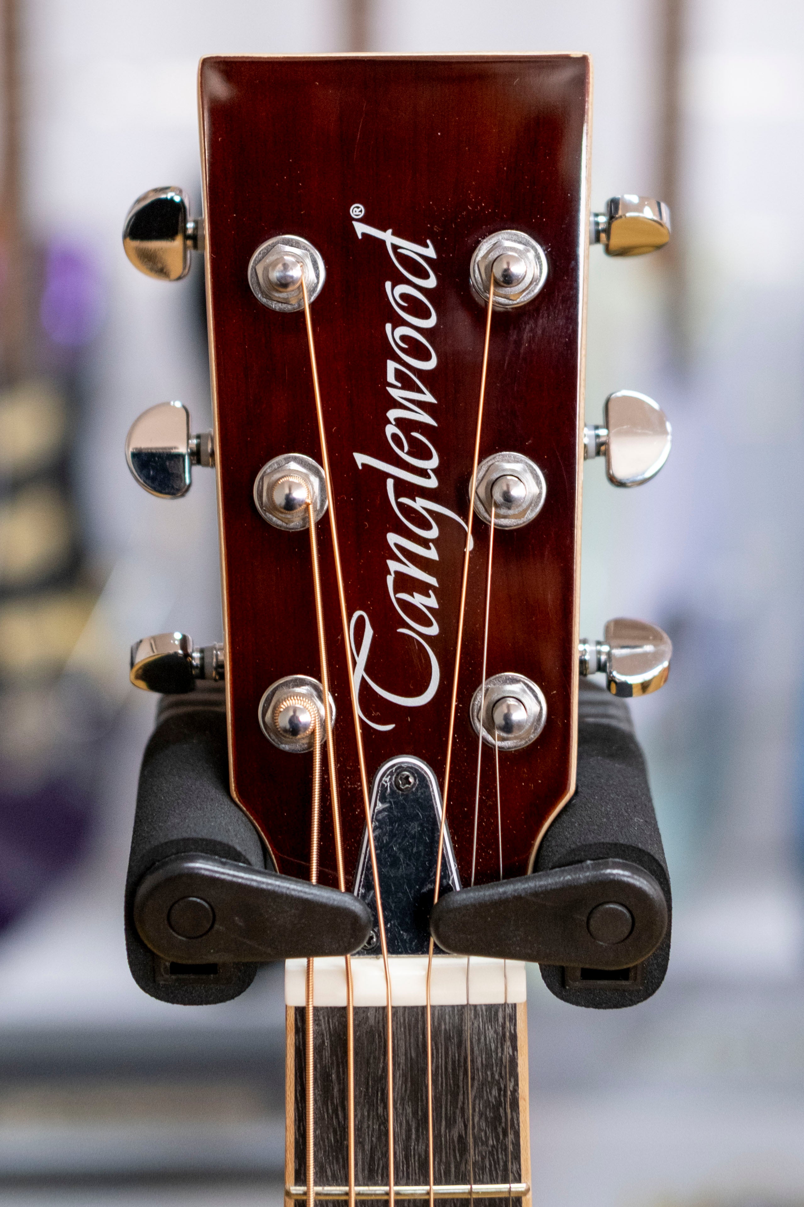 Tanglewood Union Resonator Acoustic Guitar (Mahogany)