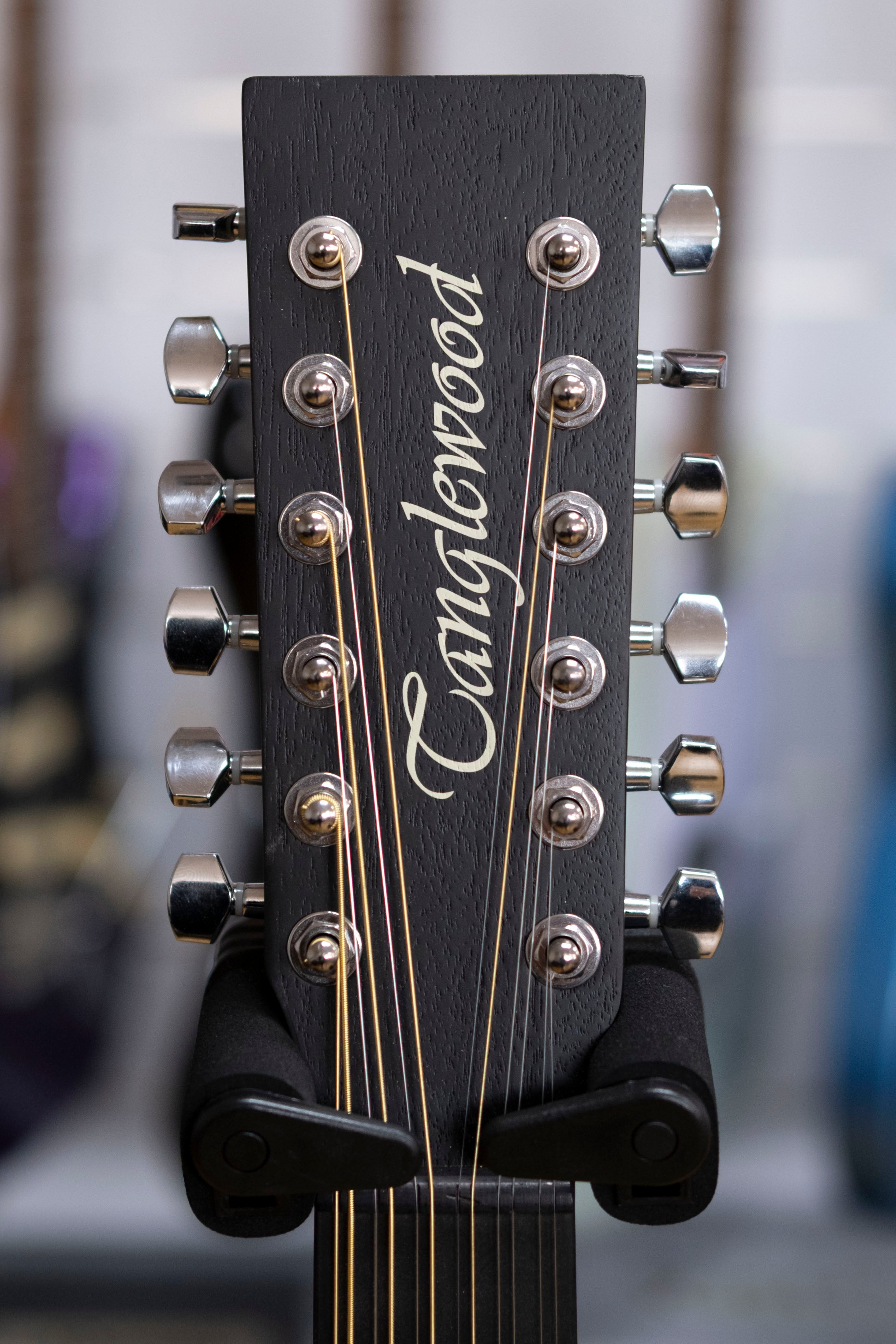 Tanglewood Blackbird Superfolk 12-String Acoustic Electric Guitar (Mahogany)
