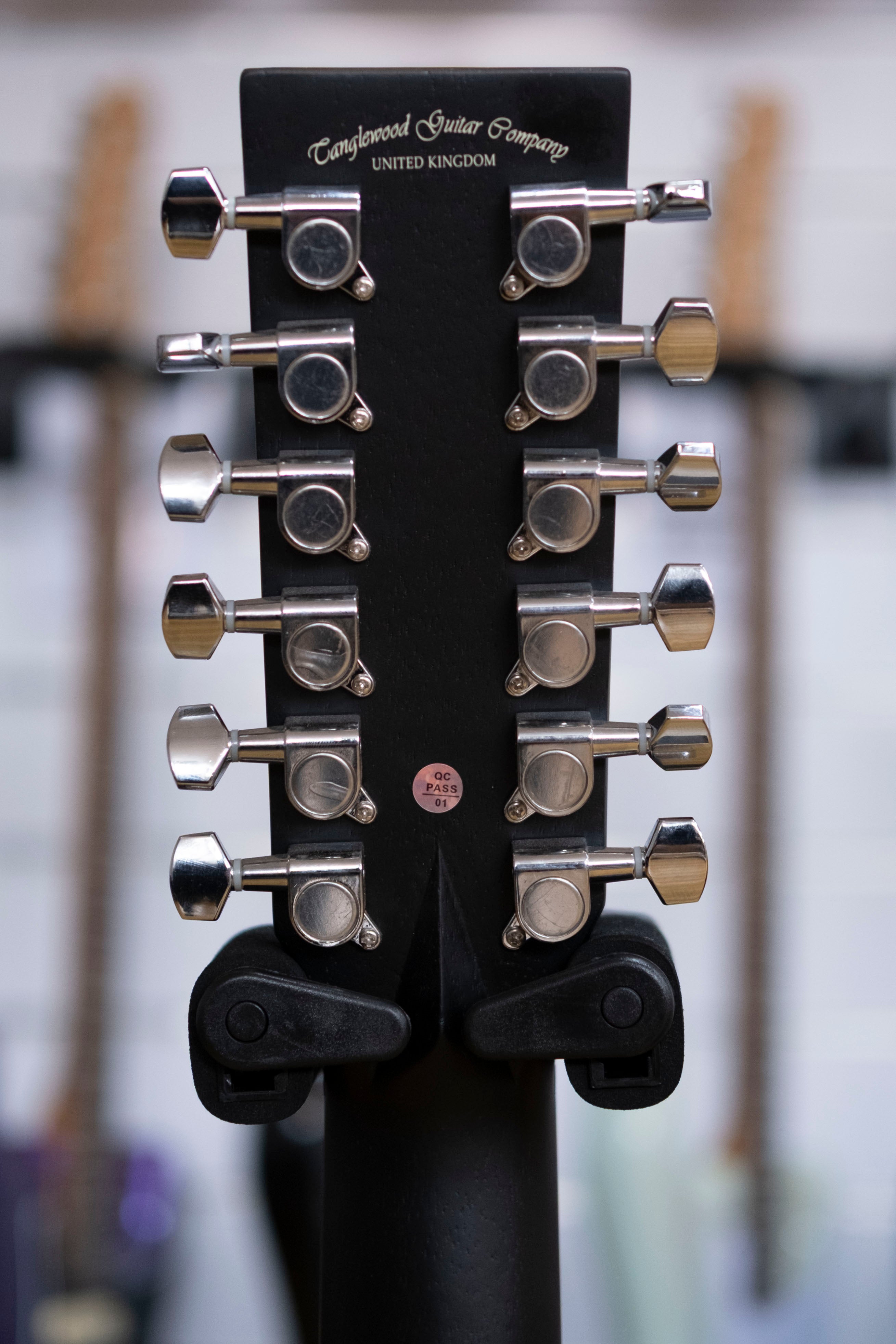 Tanglewood Blackbird Superfolk 12-String Acoustic Electric Guitar (Mahogany)