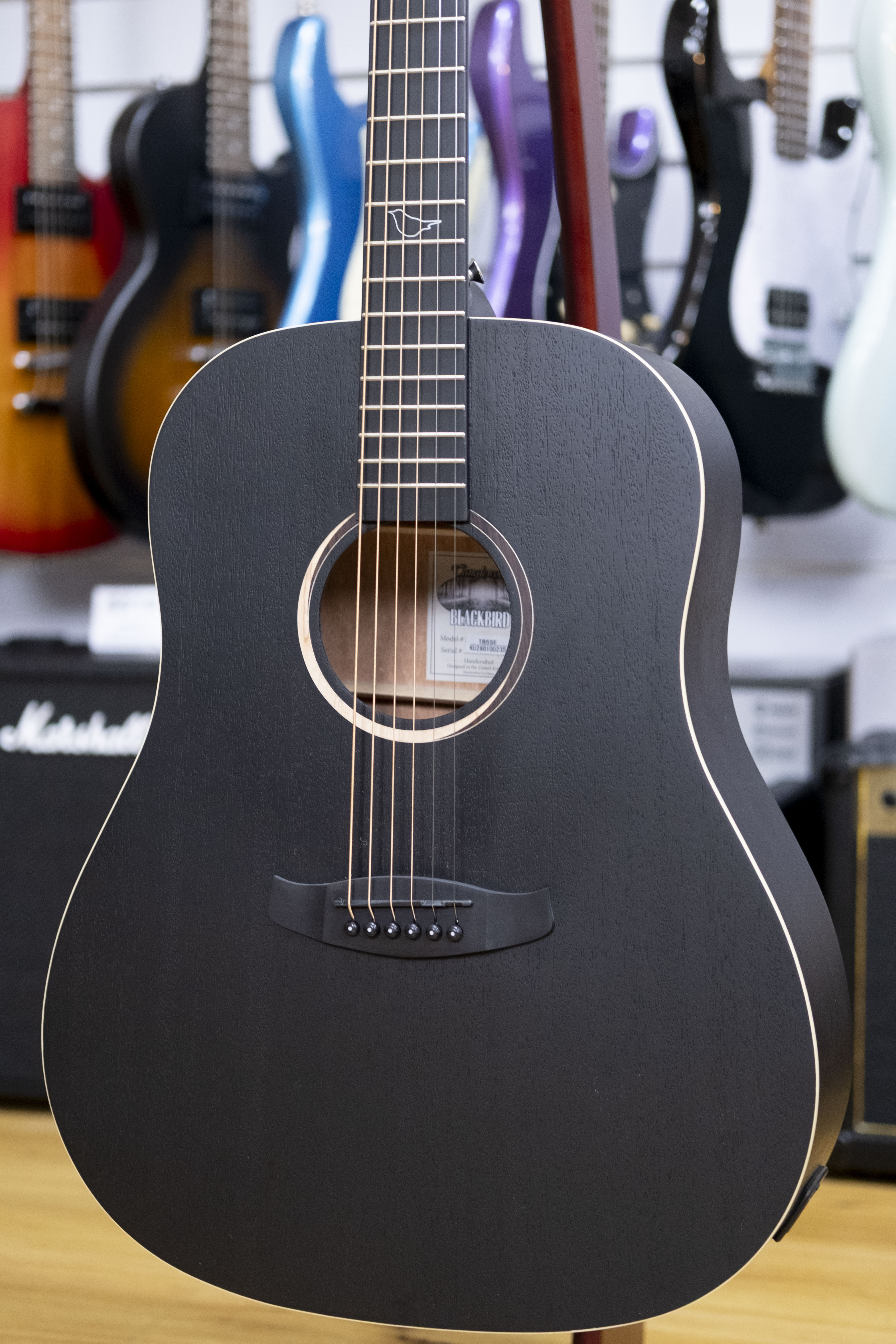 Tanglewood Blackbird Sloped Shoulder Acoustic Electric Guitar (Mahogany)