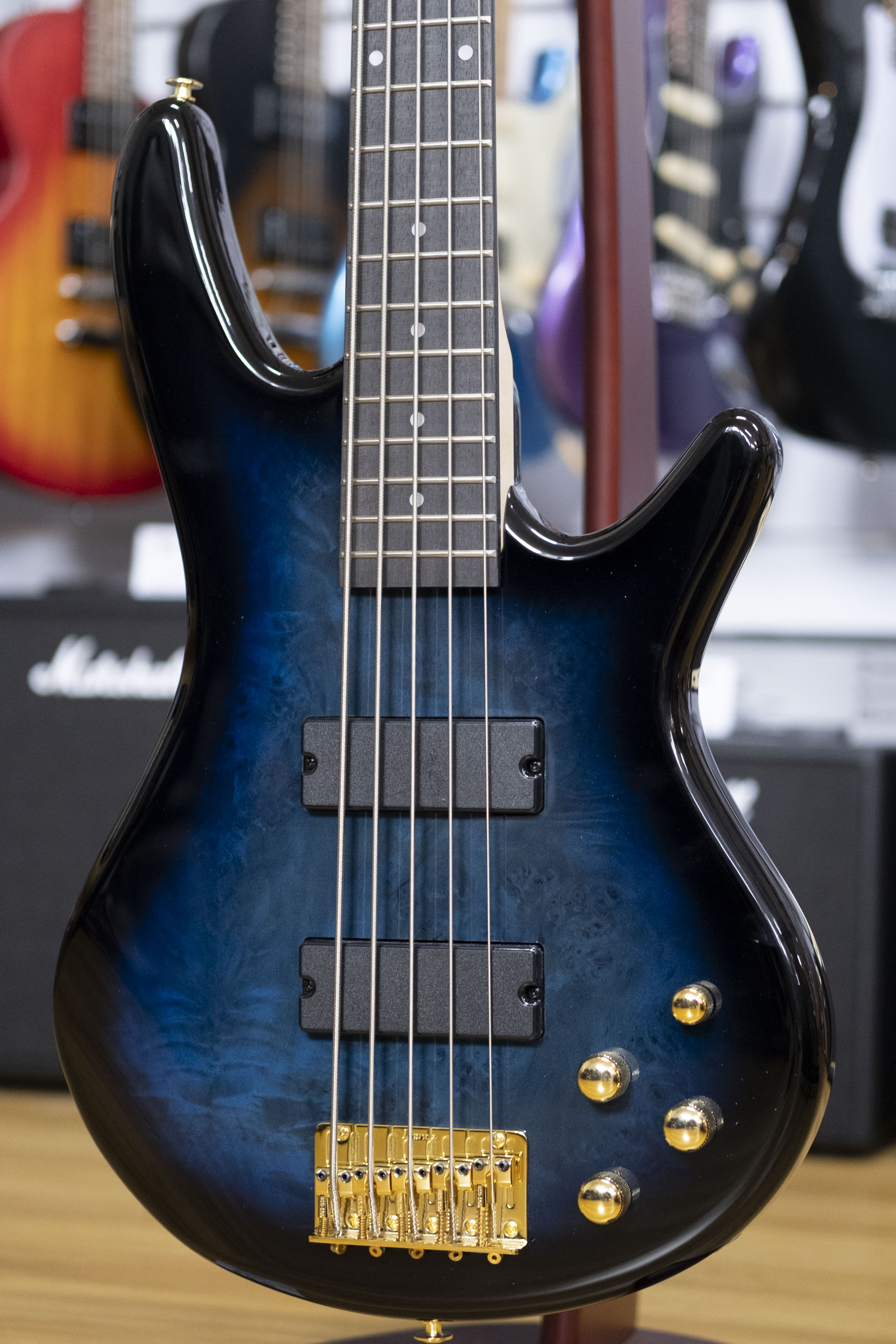 Ibanez Gio Soundgear 5-String Bass Guitar (Transparent Marine Burst)