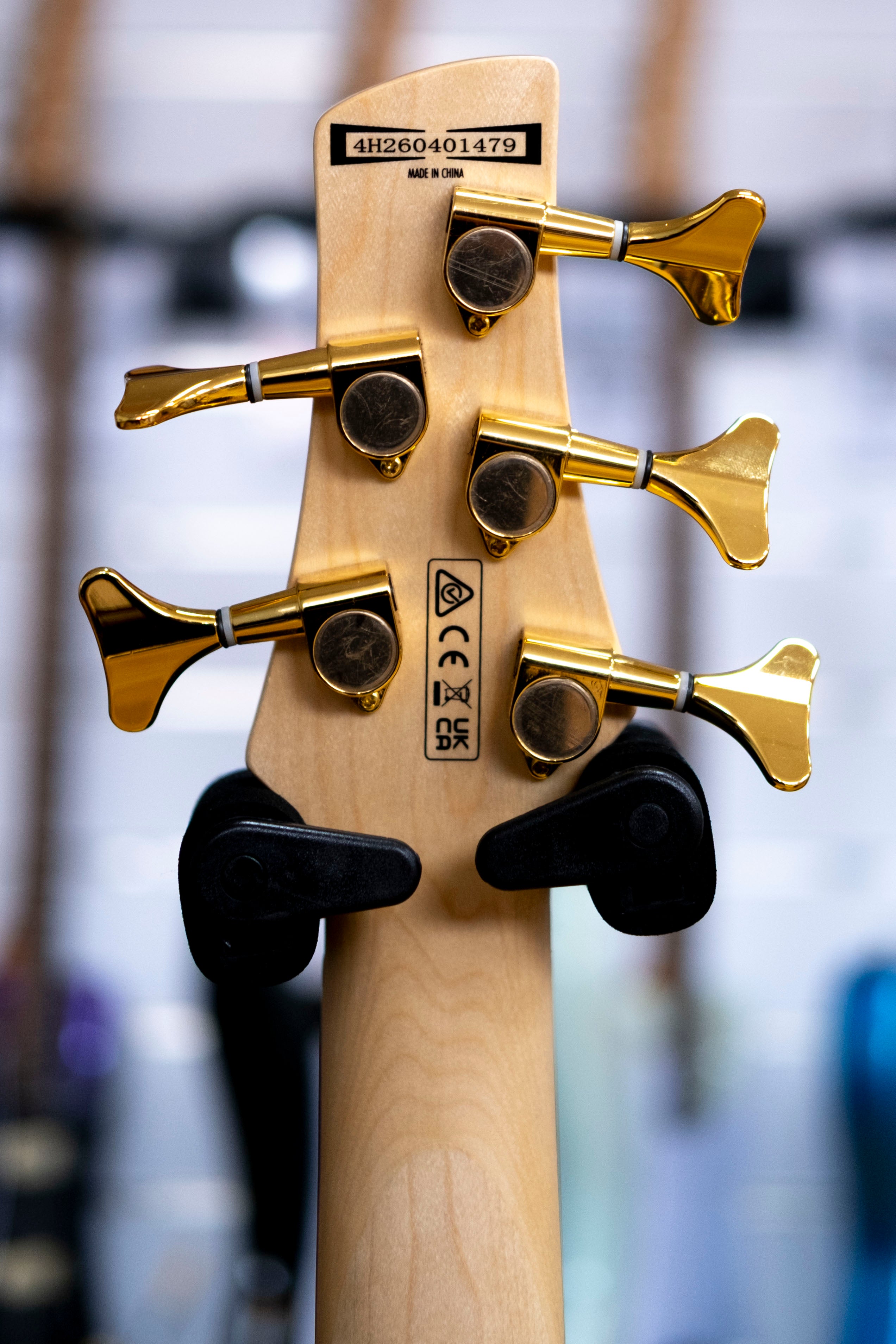 Ibanez Gio Soundgear 5-String Bass Guitar (Transparent Marine Burst)