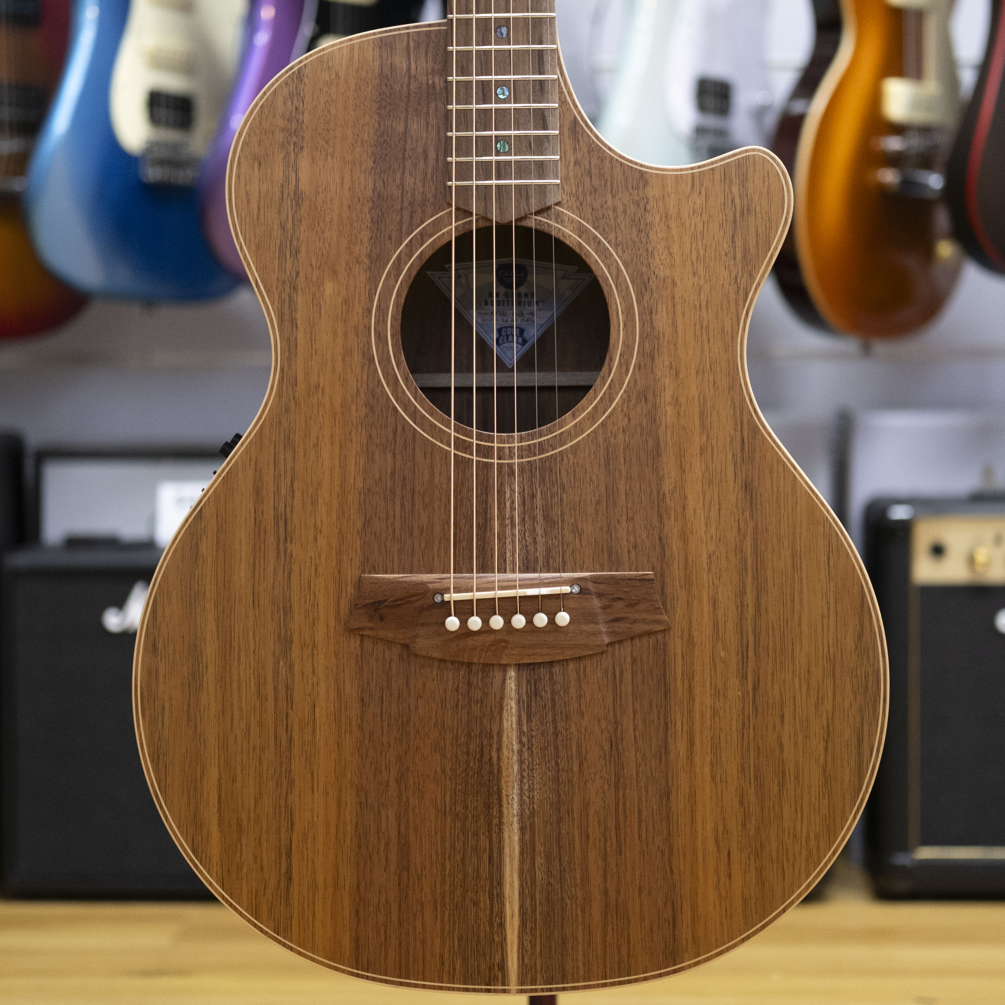 Cole Clark AN2 Angel Acoustic Electric Guitar with Hardcase (All Blackwood)