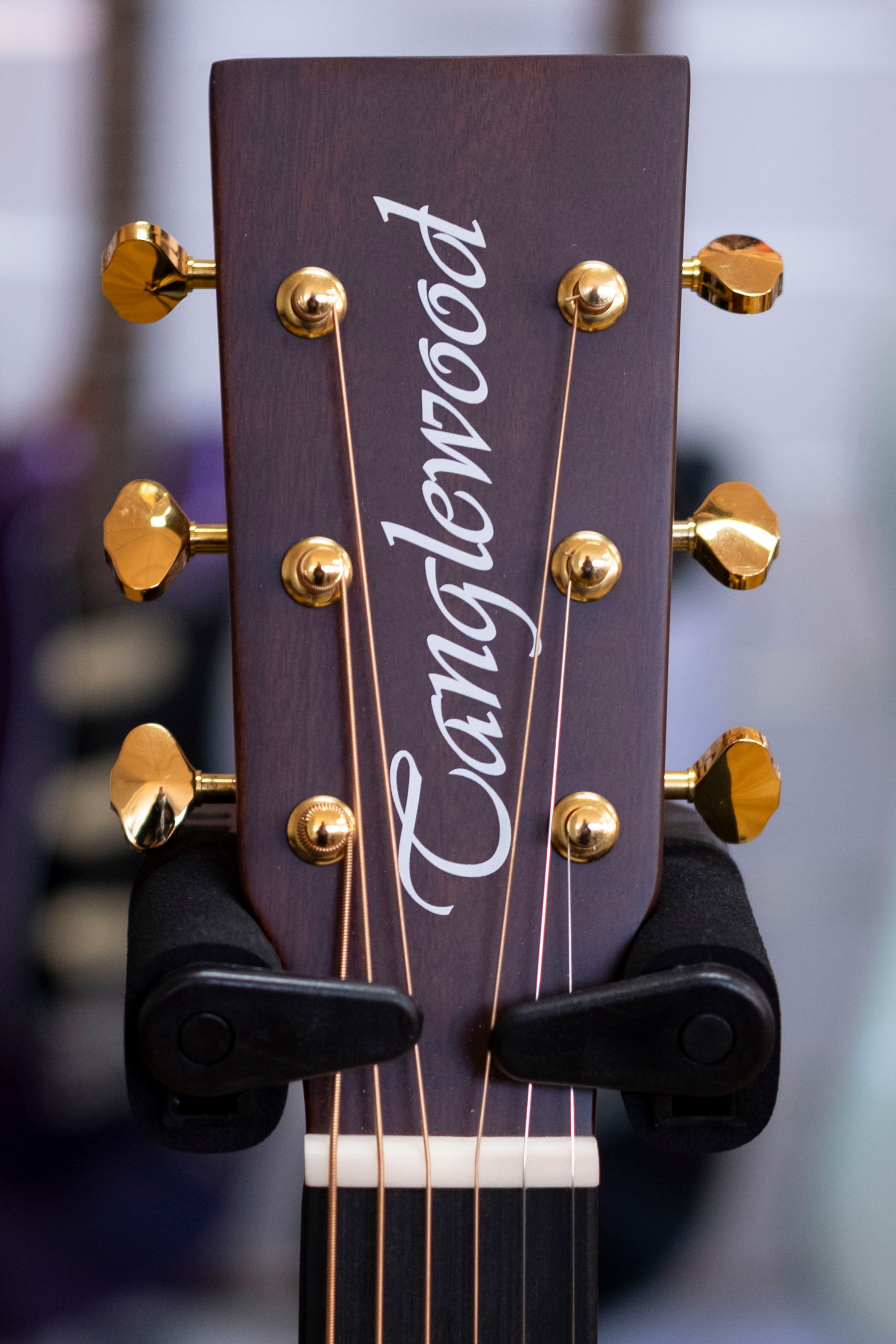 Tanglewood Elemental Dreadnought Acoustic Electric Guitar (Solid Mahogany Top)