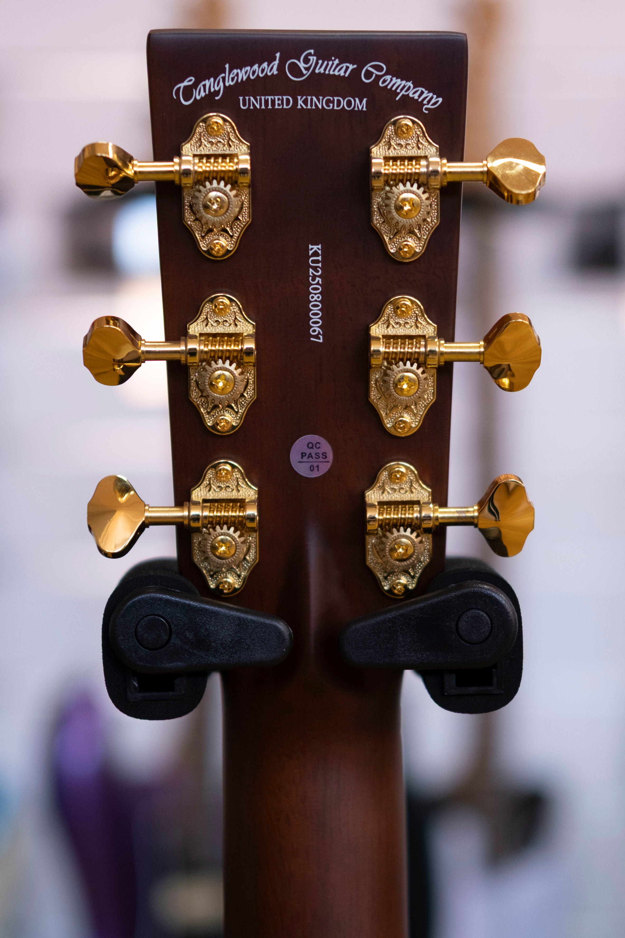 Tanglewood Elemental Dreadnought Acoustic Electric Guitar (Solid Mahogany Top)
